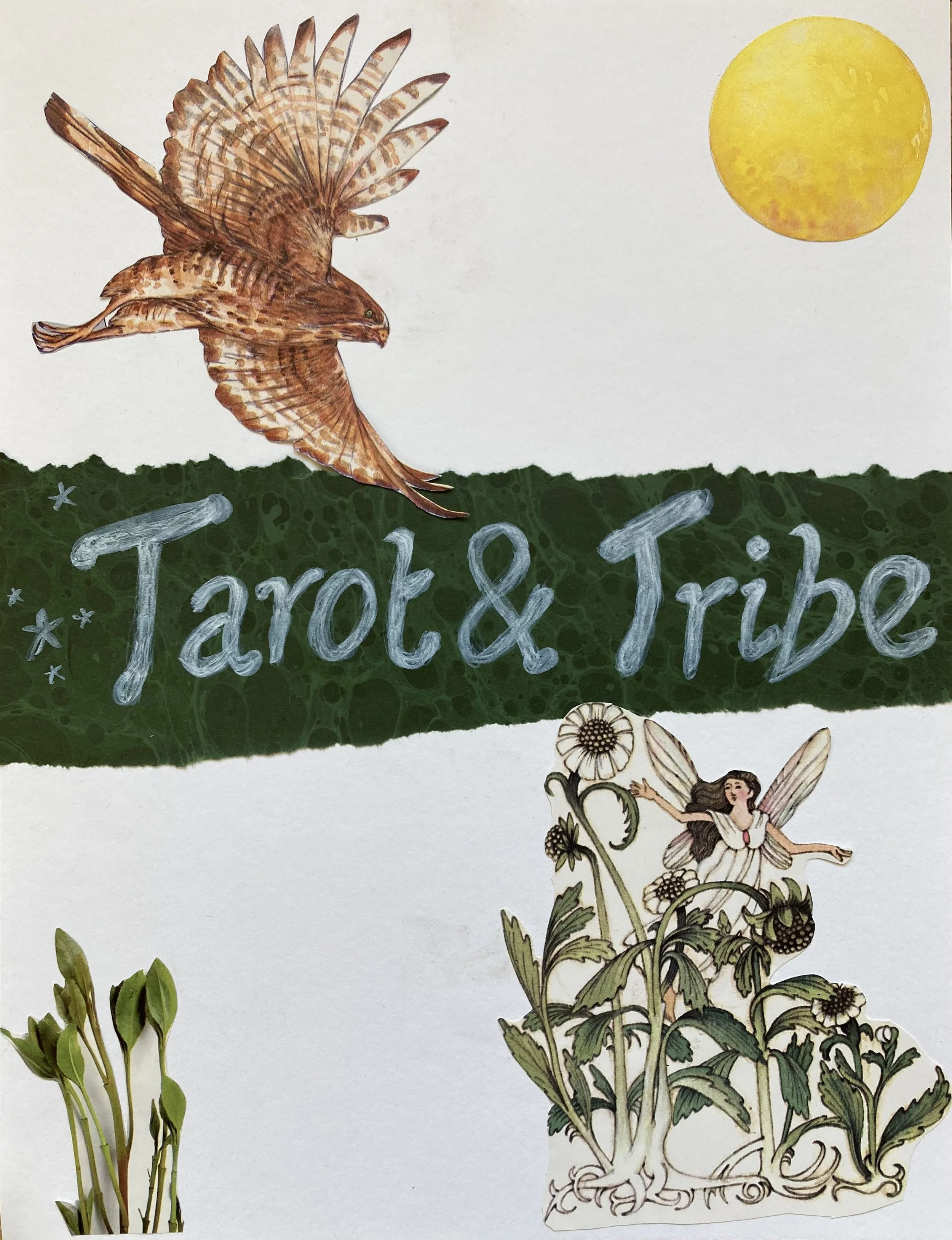 Copy_of_Tarot_&_Tribe_hawk (1).jpg