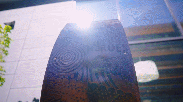 uw-nurselog-final-1080 walk_sm.gif