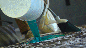 Taylor_x_Sean_Boat_Fun_AdobeCreativeCloudExpress.gif