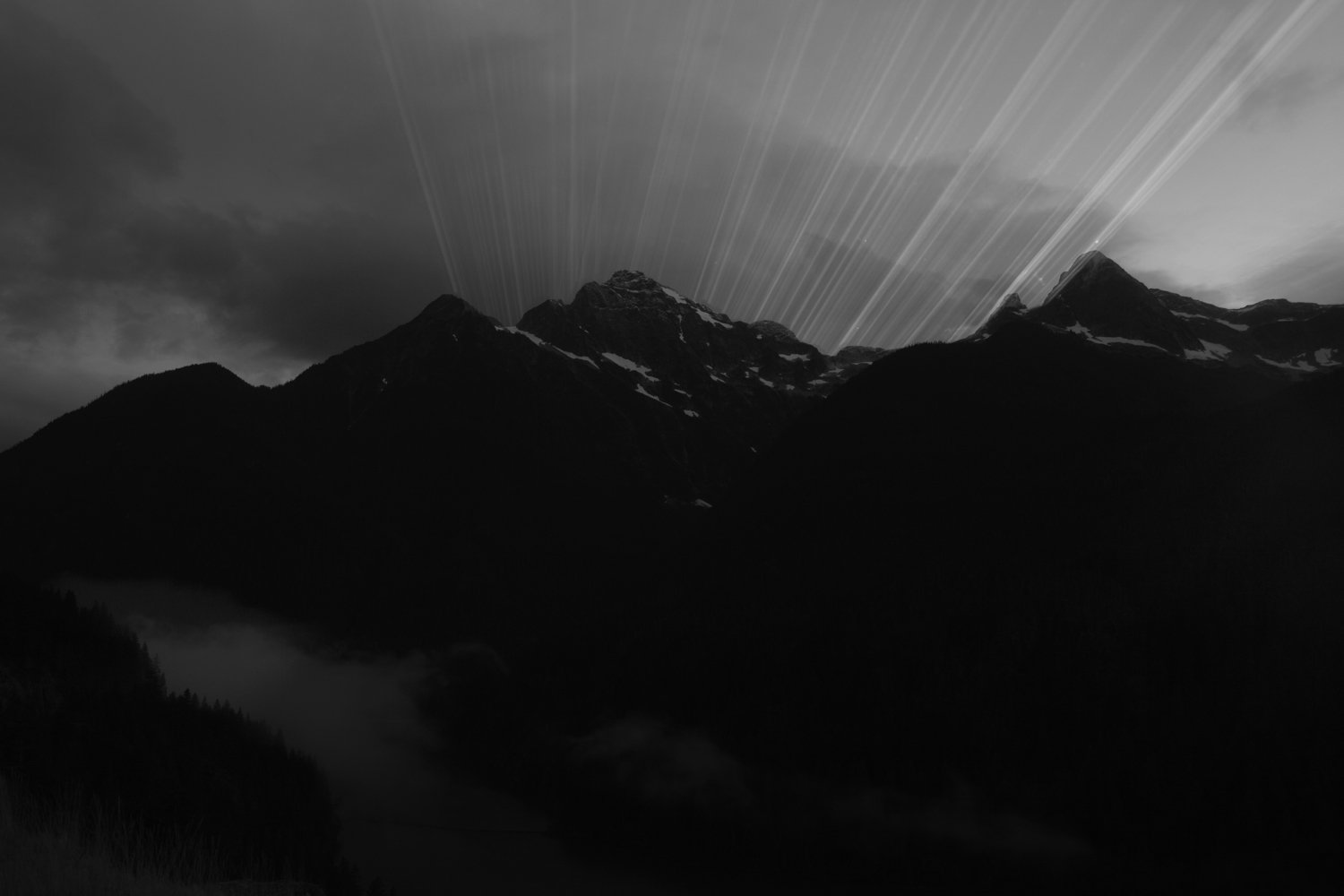 001_SecondNature.jpg
