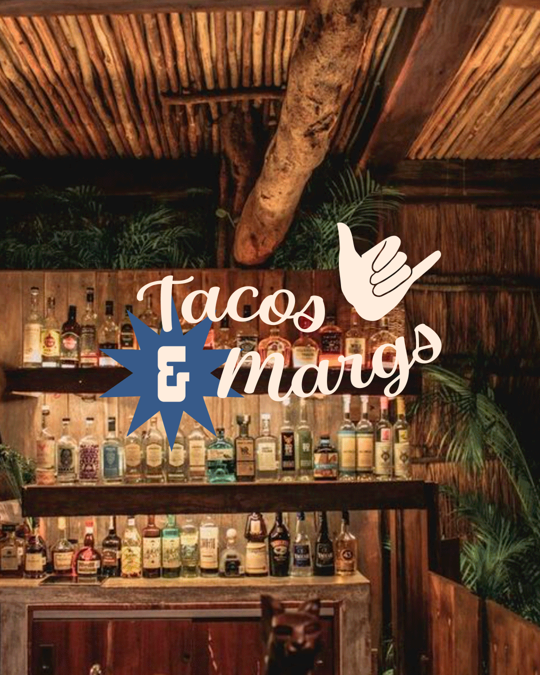 FONDA-Taco-margs.gif