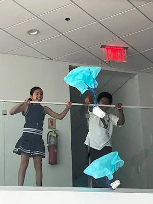 Stem2.jpg