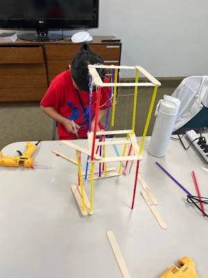 Stem10.jpg