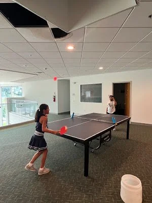 Pingpong1.jpg