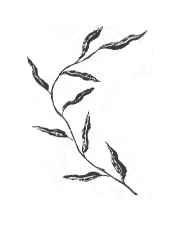 optionC_bayleaf.png