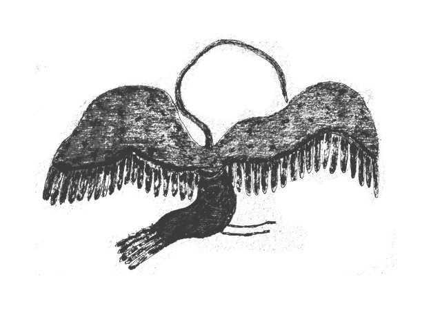 optionC_bird2.png