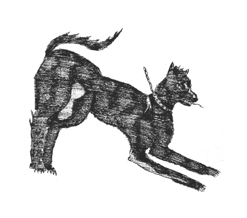 optionC_cavecanem.png
