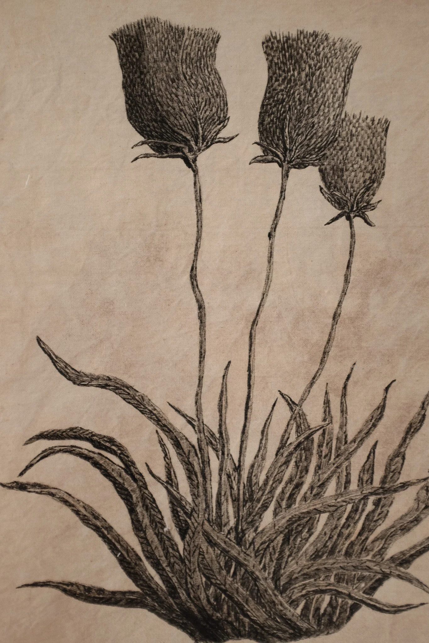 DSCF9702.jpg