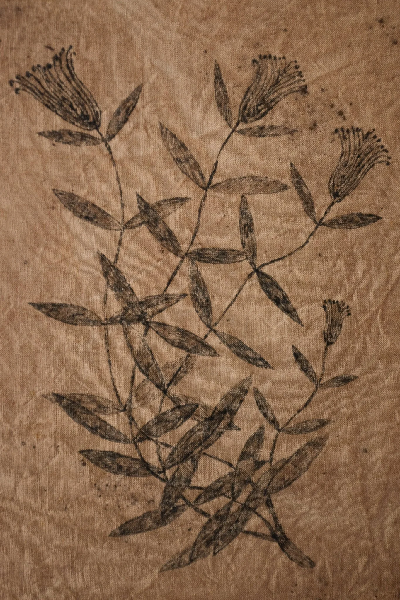 DSCF5121.jpg