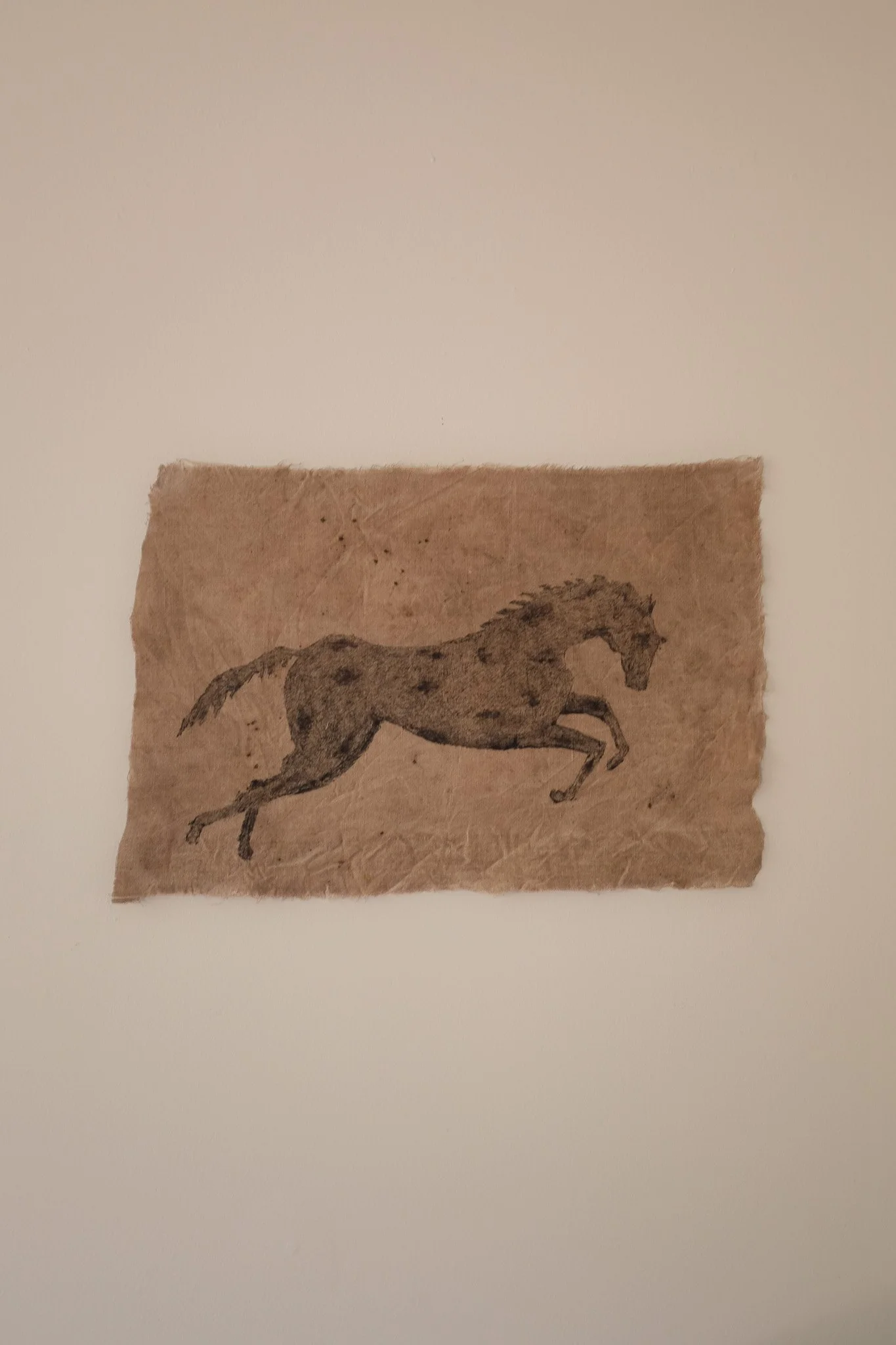 DSCF5171.jpg