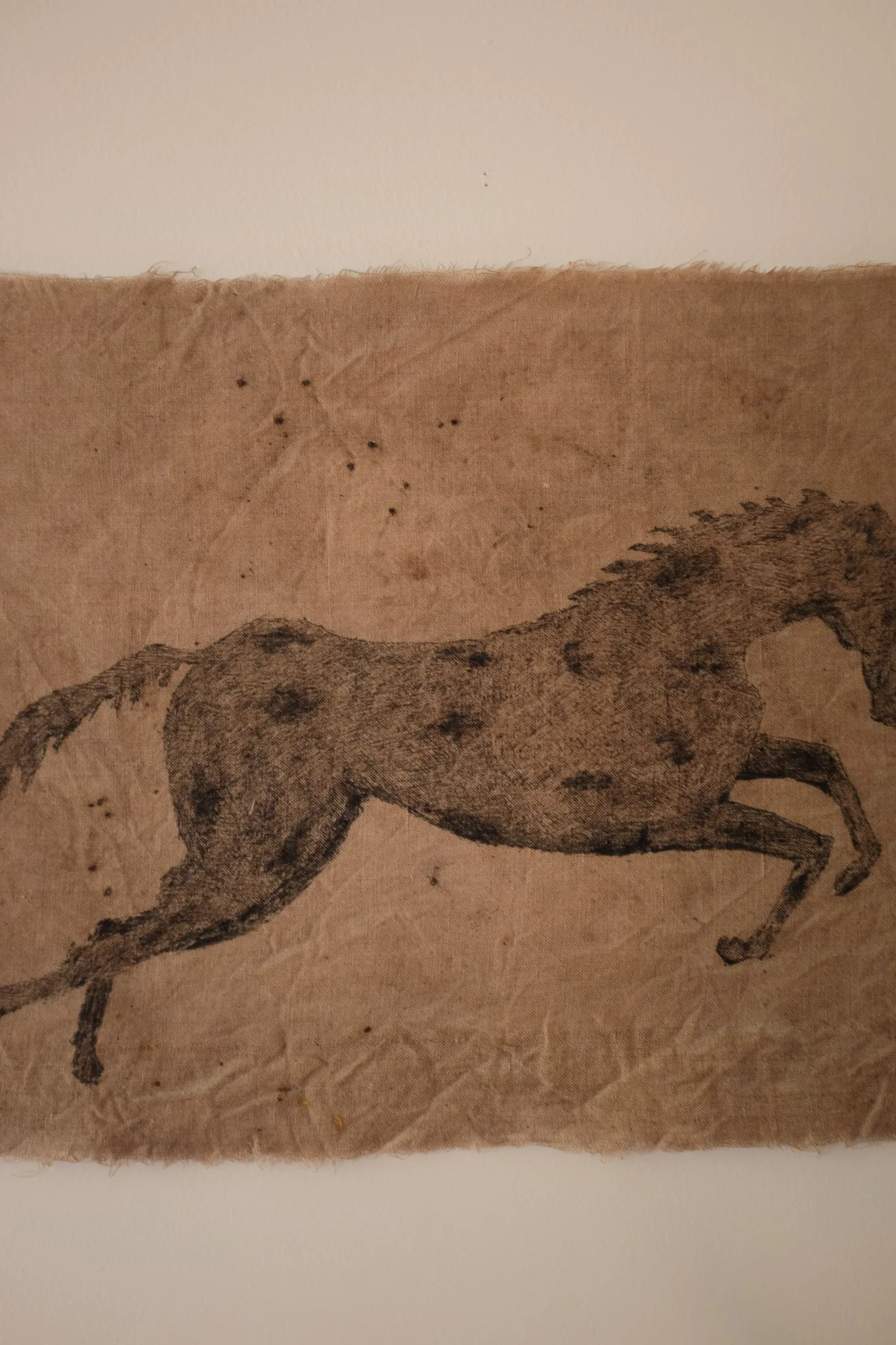 DSCF5175.jpg