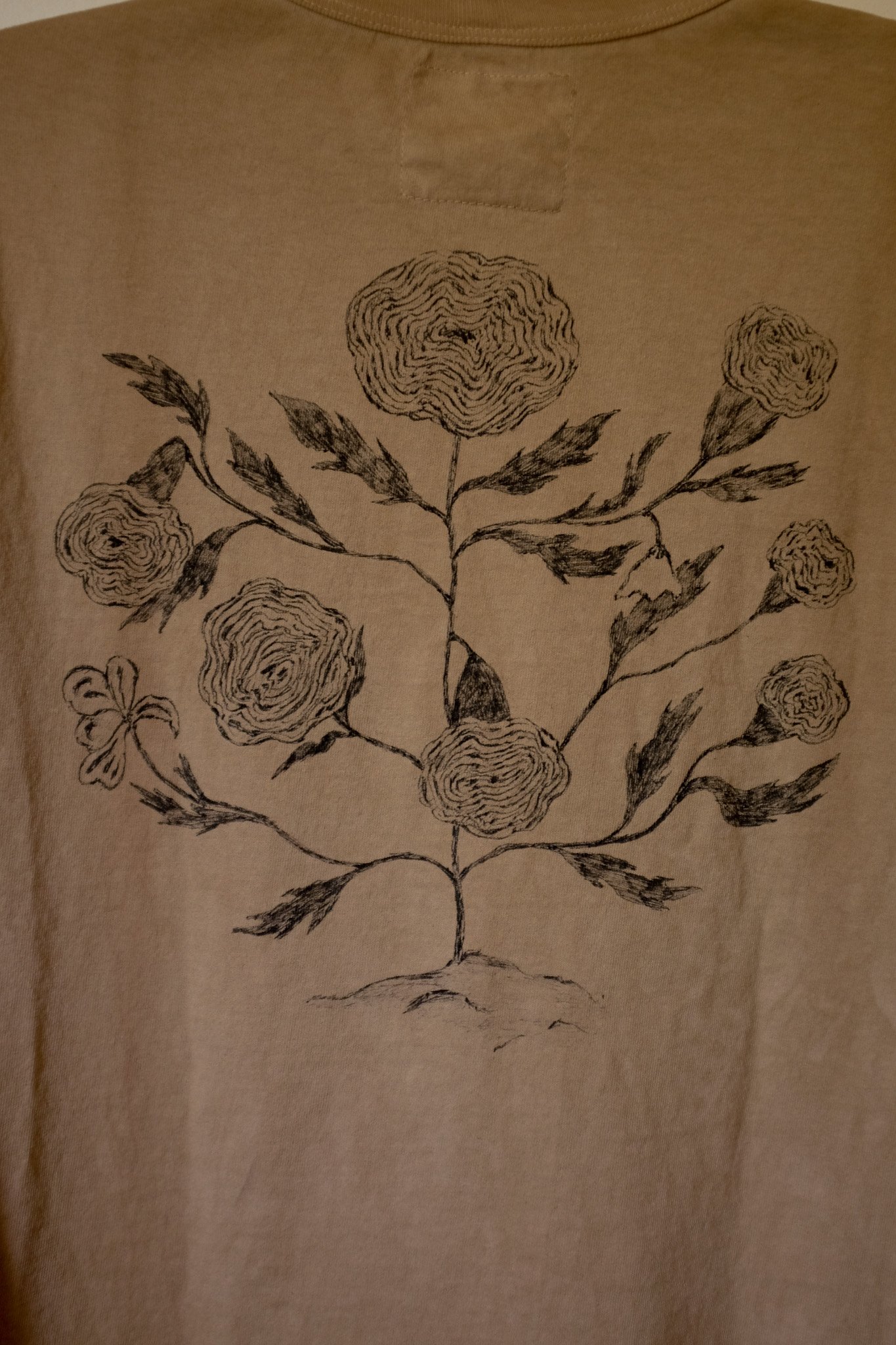 DSCF2407.jpg