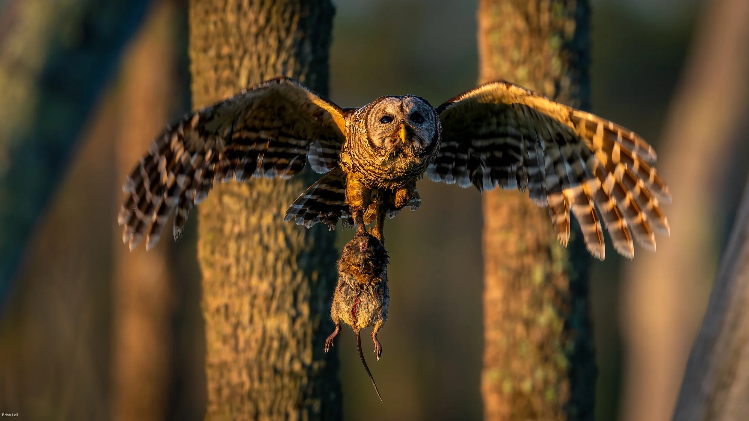 260411_untitled_092-DxO_DeepPRIME XD3.jpg