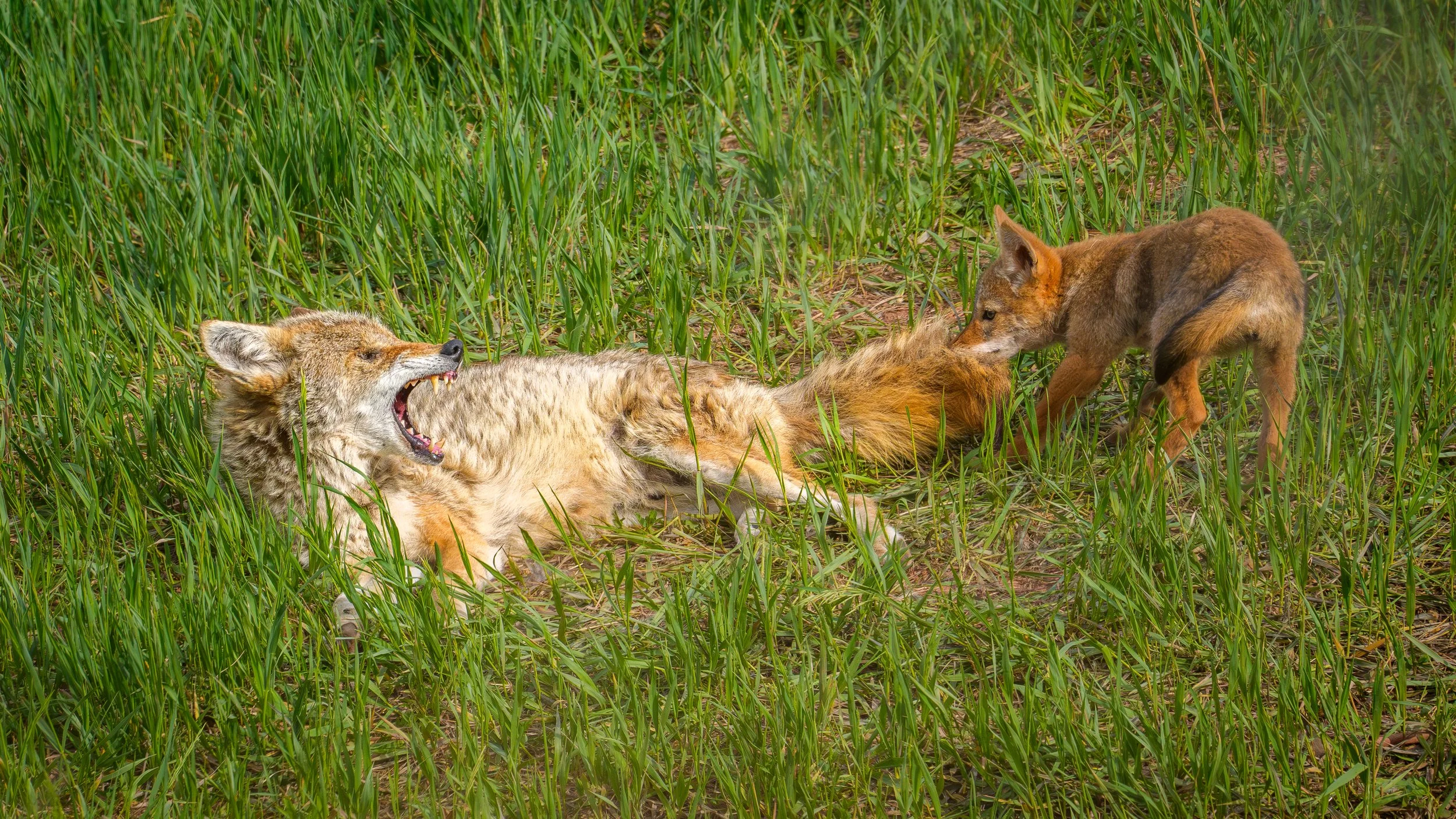 260603_untitled_776.jpg