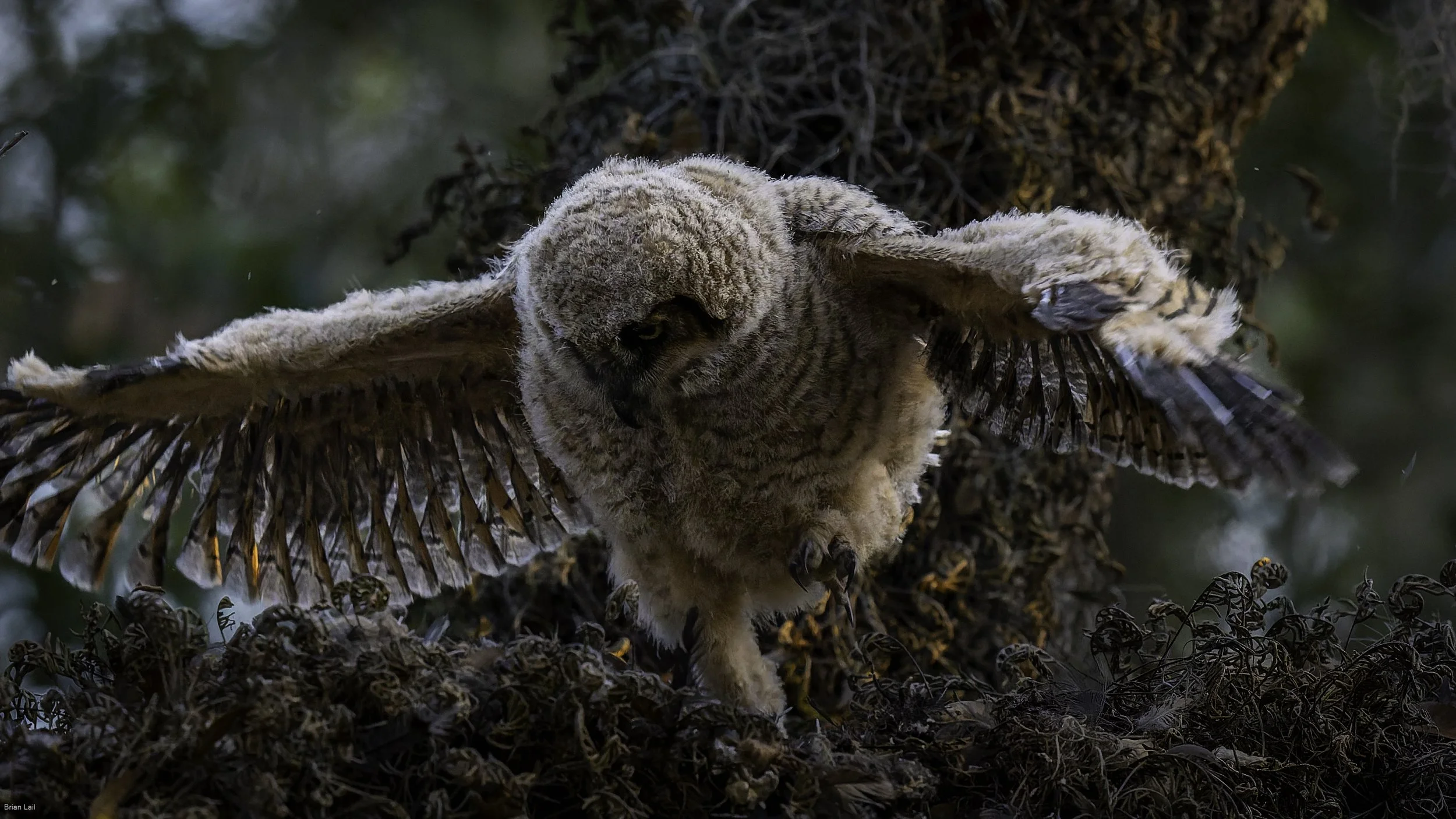 260221_untitled_411-DxO_DeepPRIME 3.jpg