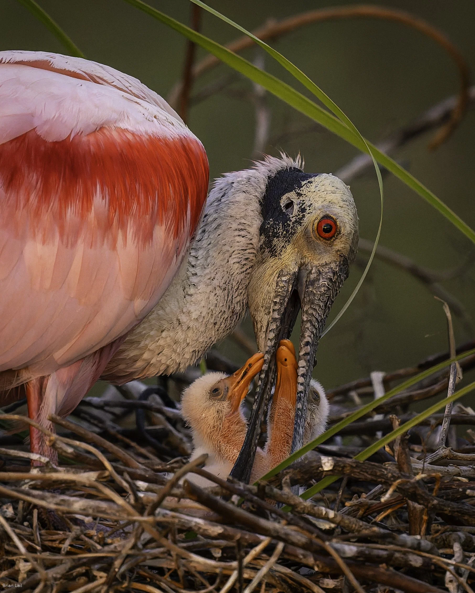 260220_untitled_1563-DxO_DeepPRIME 3.jpg