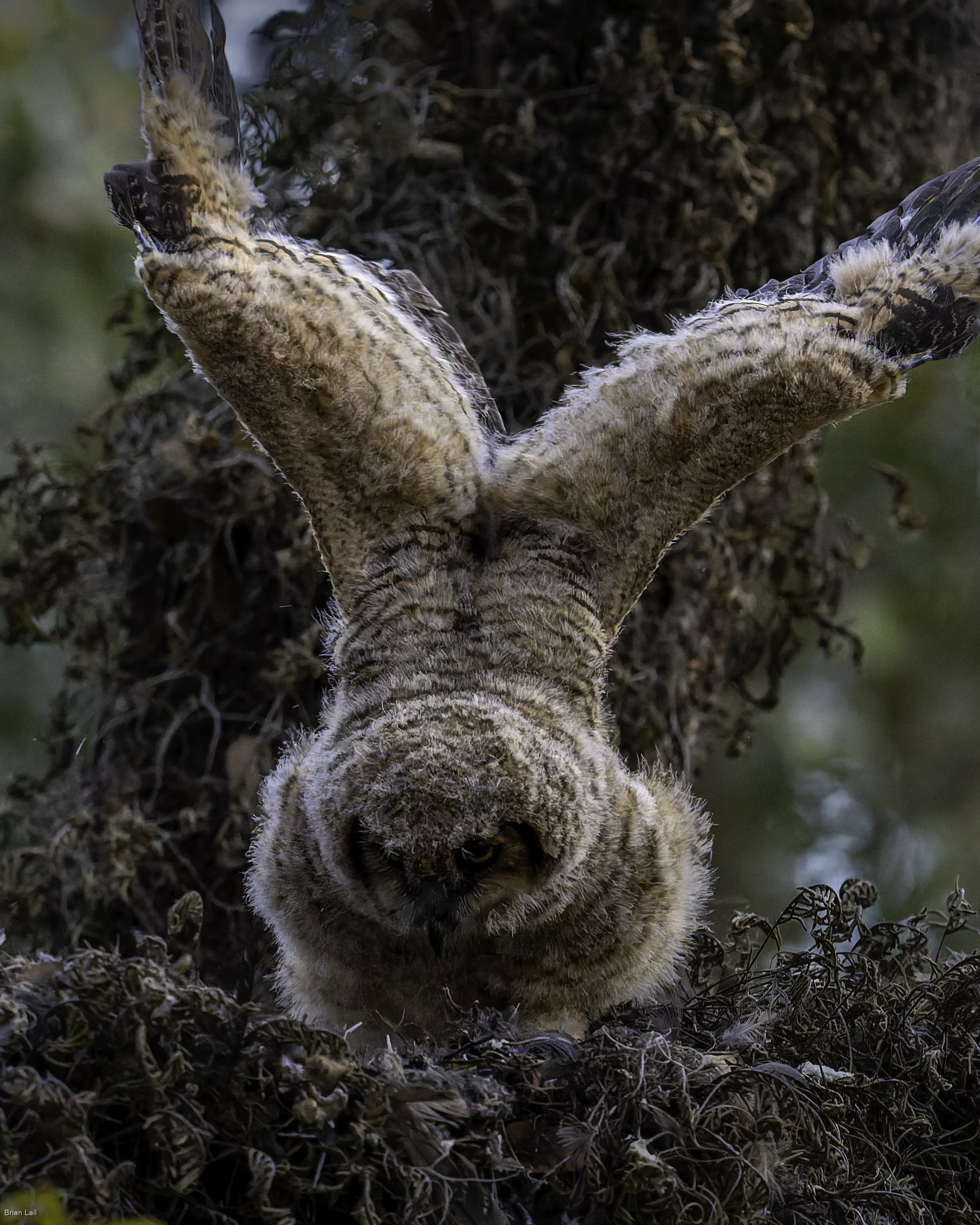 260221_untitled_280-DxO_DeepPRIME 3.jpg