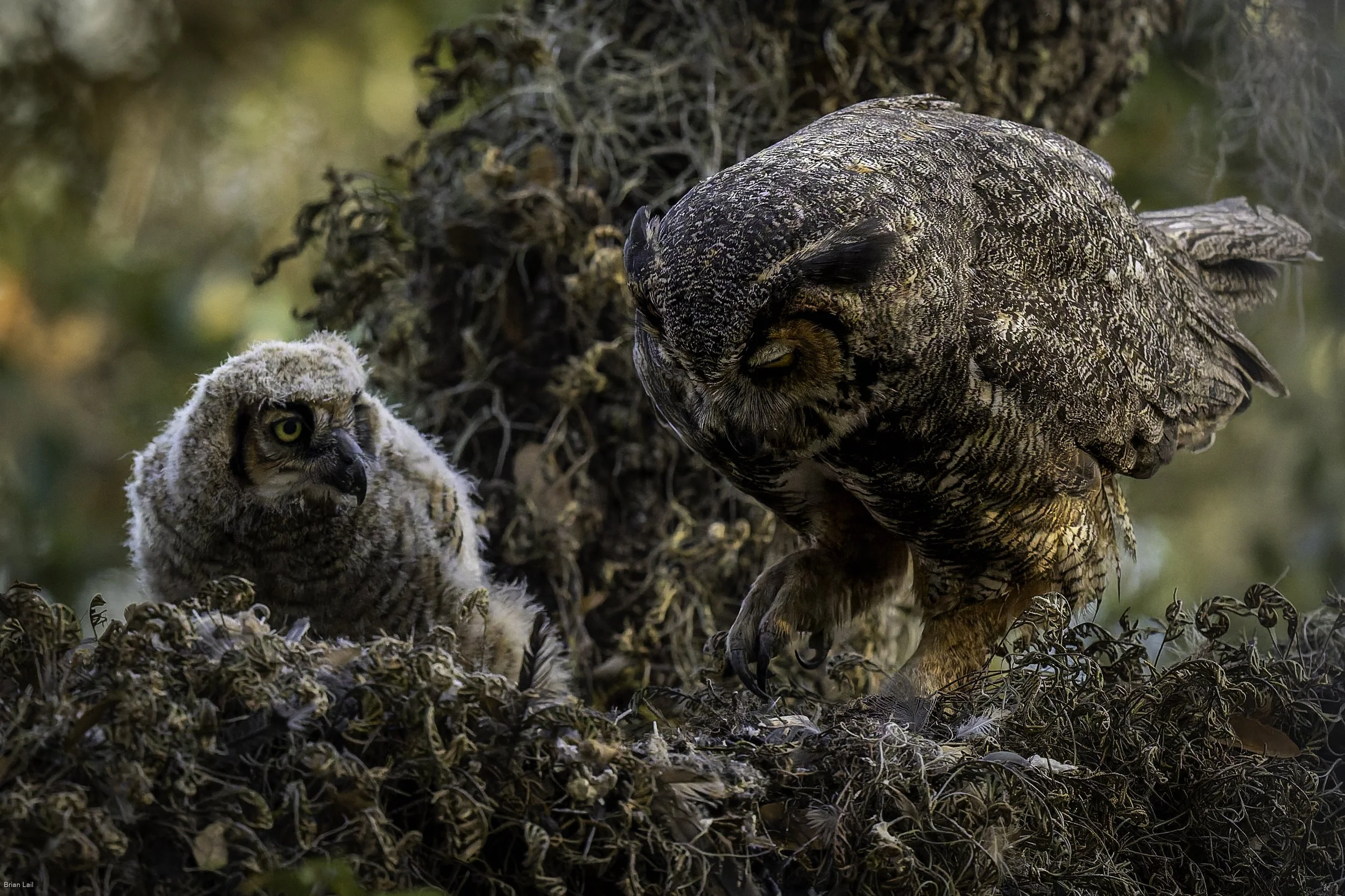 260221_untitled_701-DxO_DeepPRIME 3.jpg