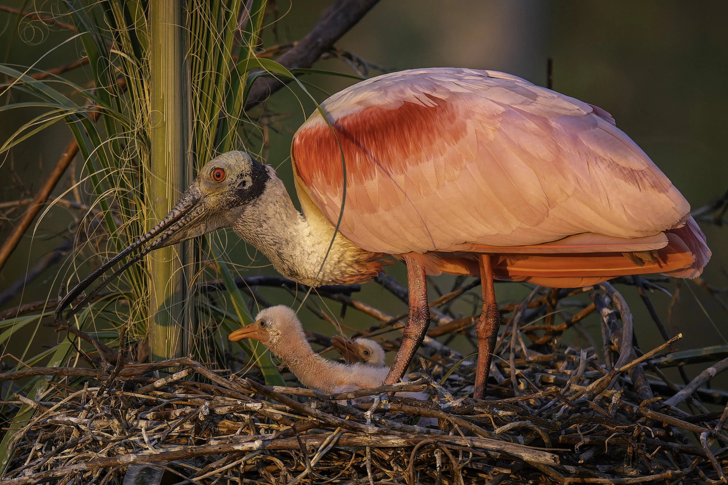 260221_untitled_629-2-DxO_DeepPRIME 3.jpg