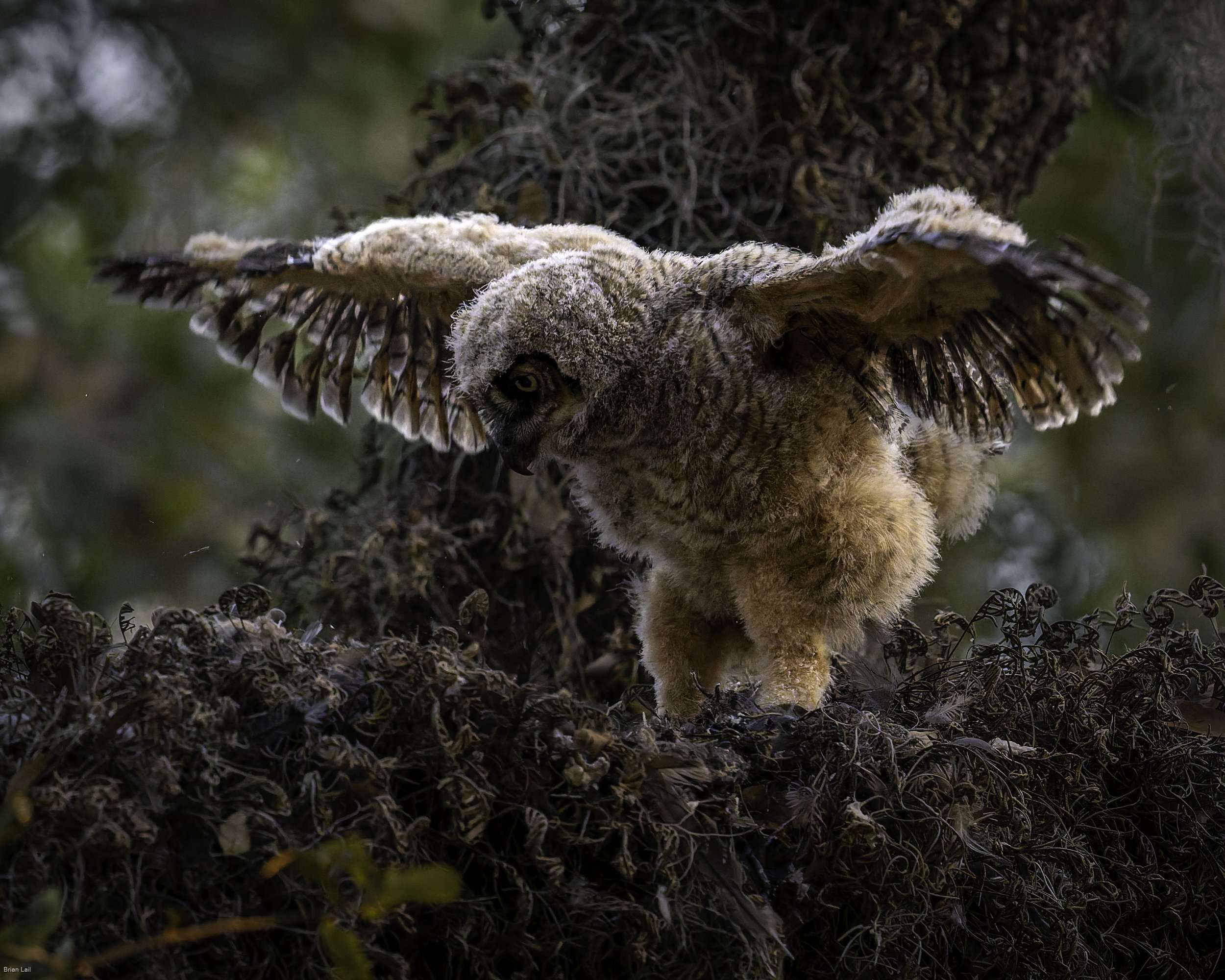 260221_untitled_308-DxO_DeepPRIME 3.jpg