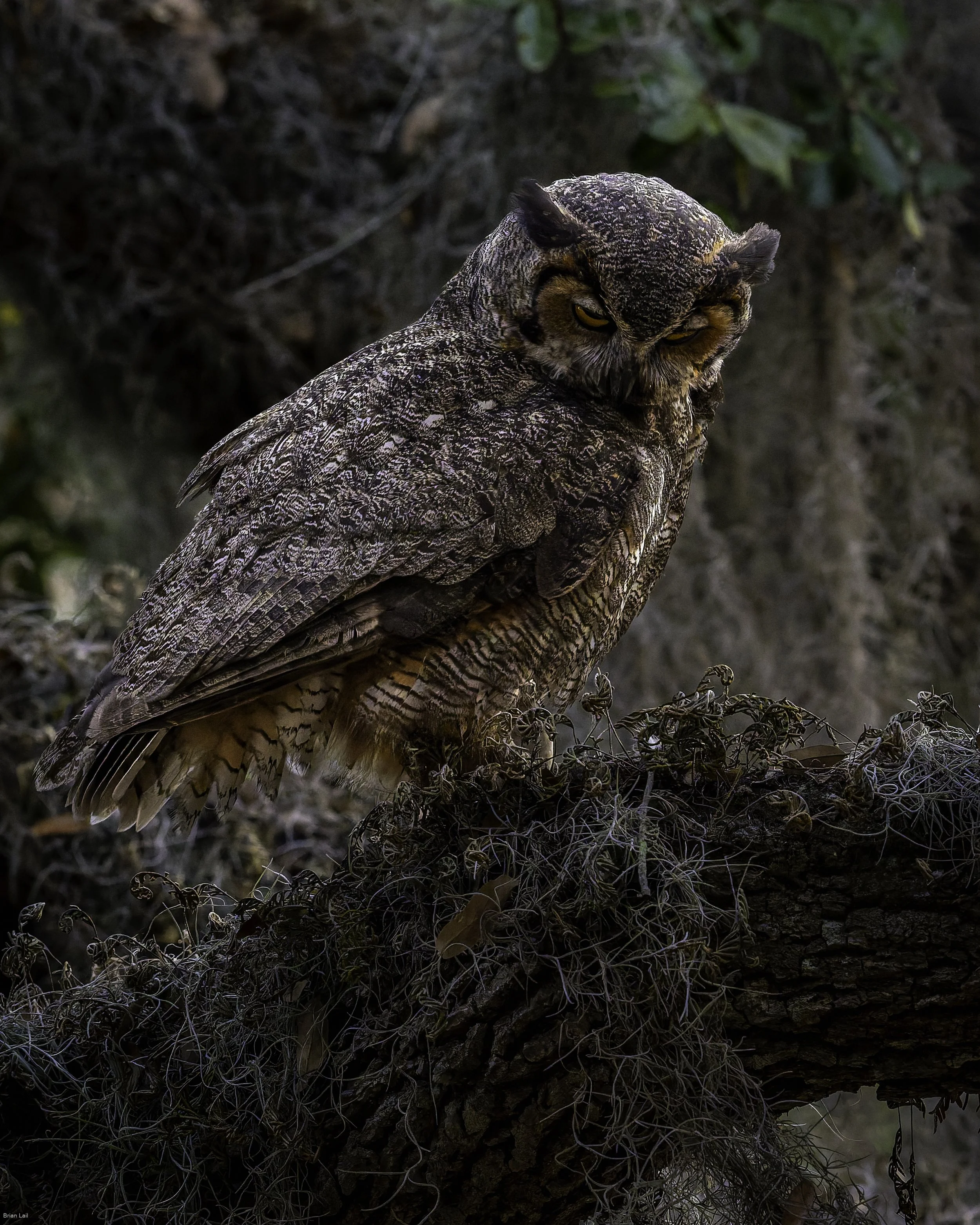 260221_untitled_181-DxO_DeepPRIME 3.jpg