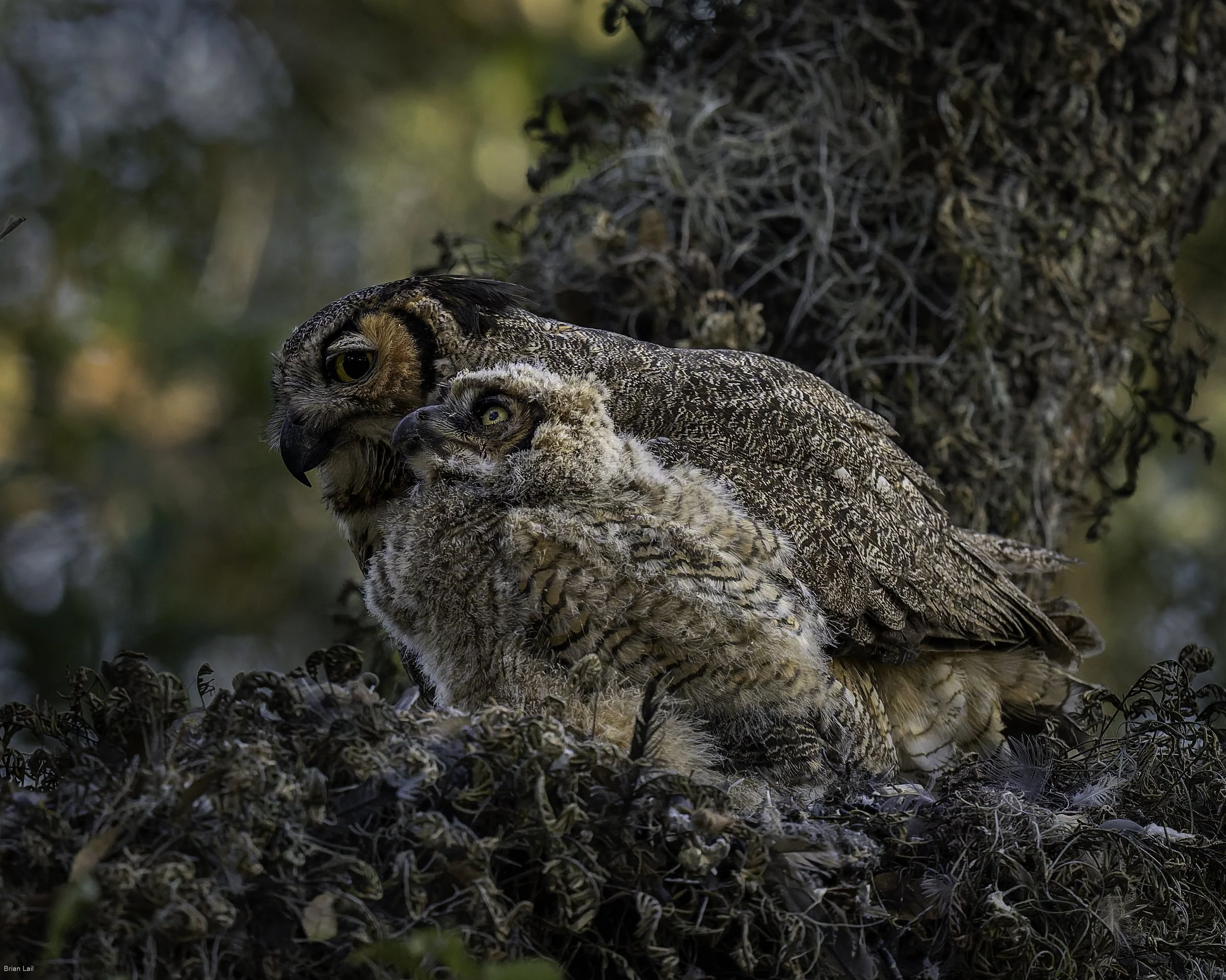 260221_untitled_793-DxO_DeepPRIME 3.jpg