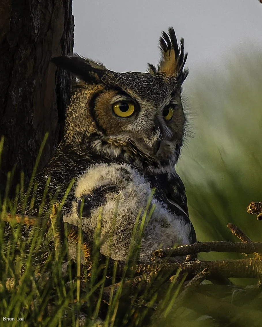 260222_untitled_317-DxO_DeepPRIME 3.jpg