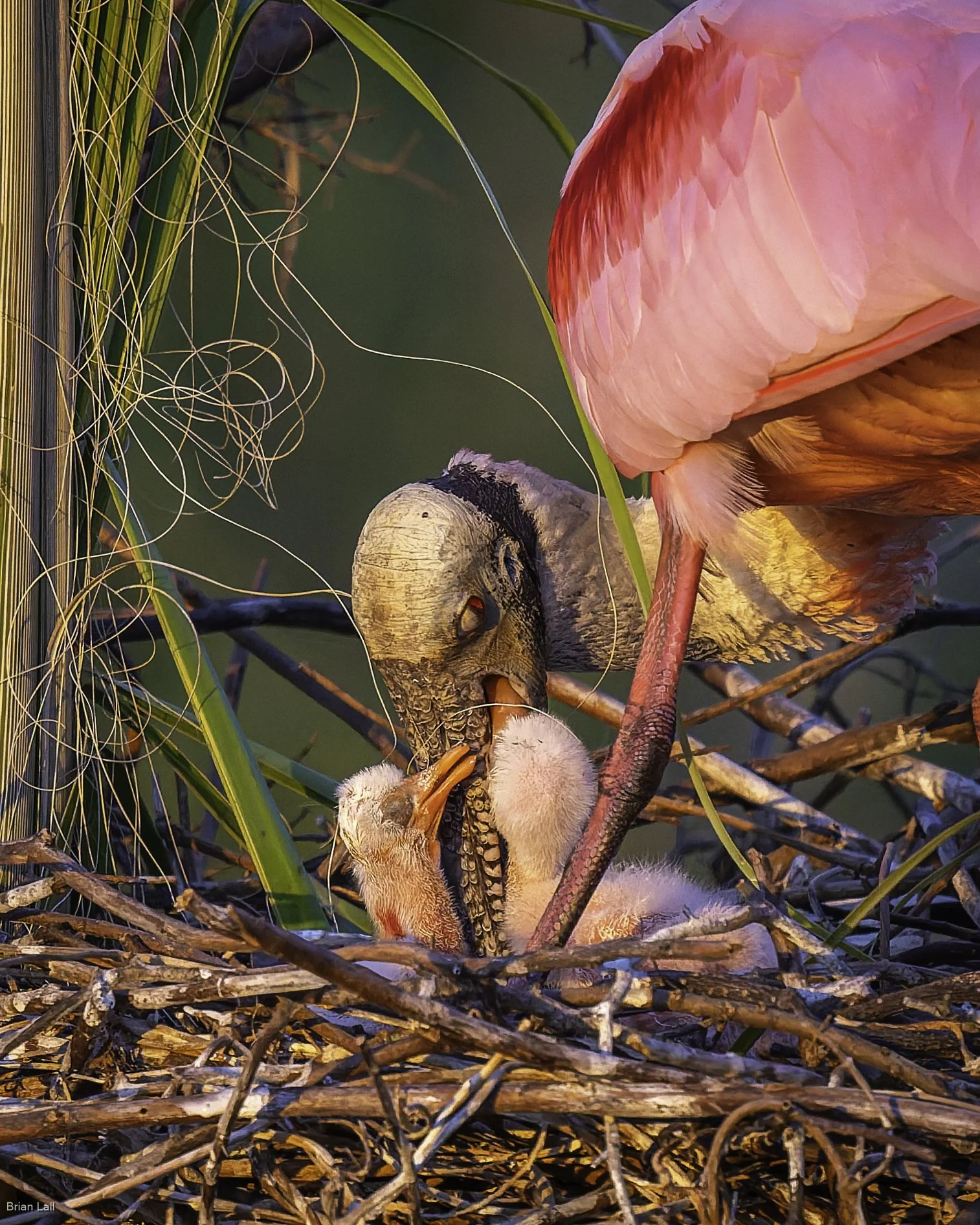 260221_untitled_1920-DxO_DeepPRIME 3.jpg