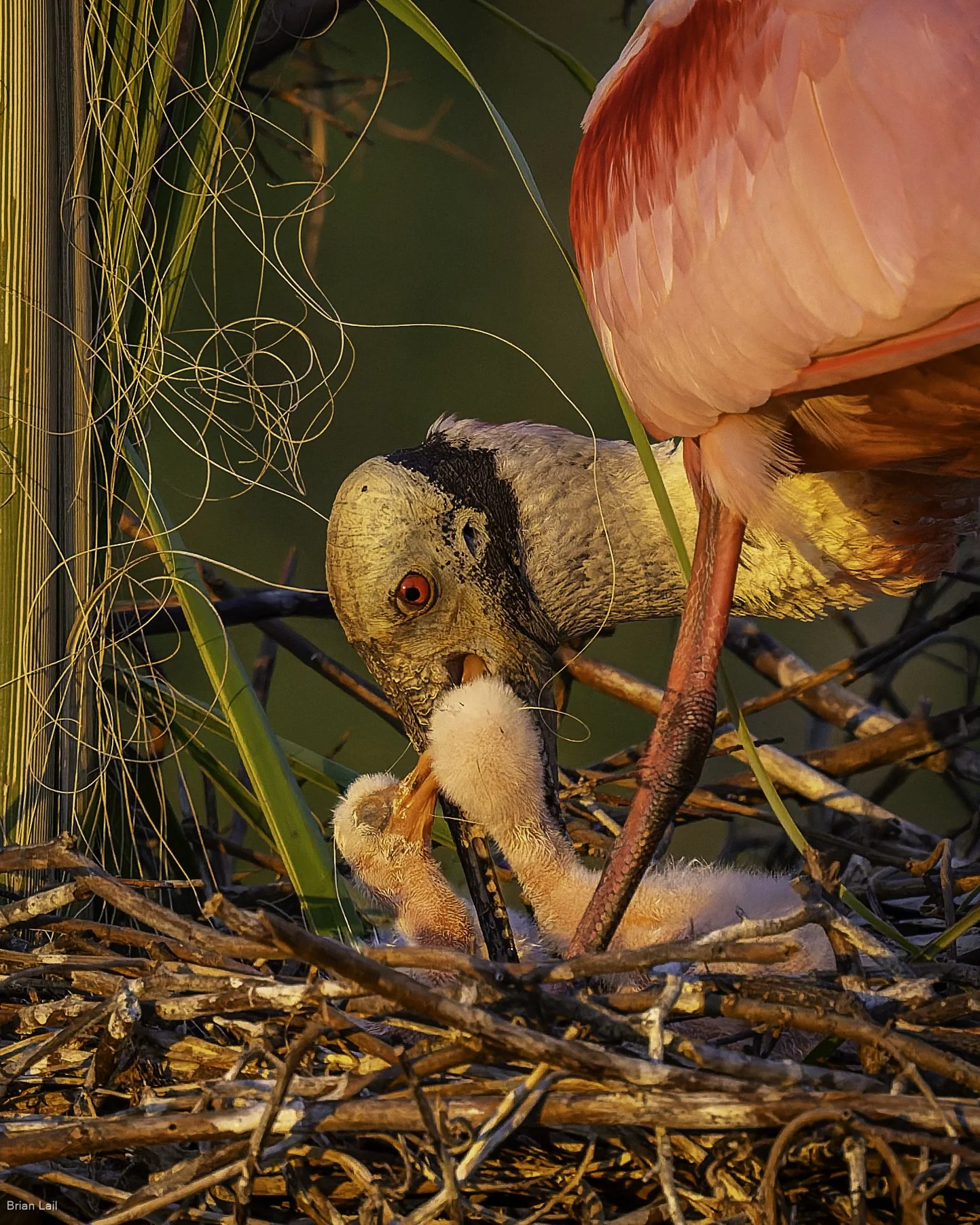 260221_untitled_1971-DxO_DeepPRIME 3.jpg