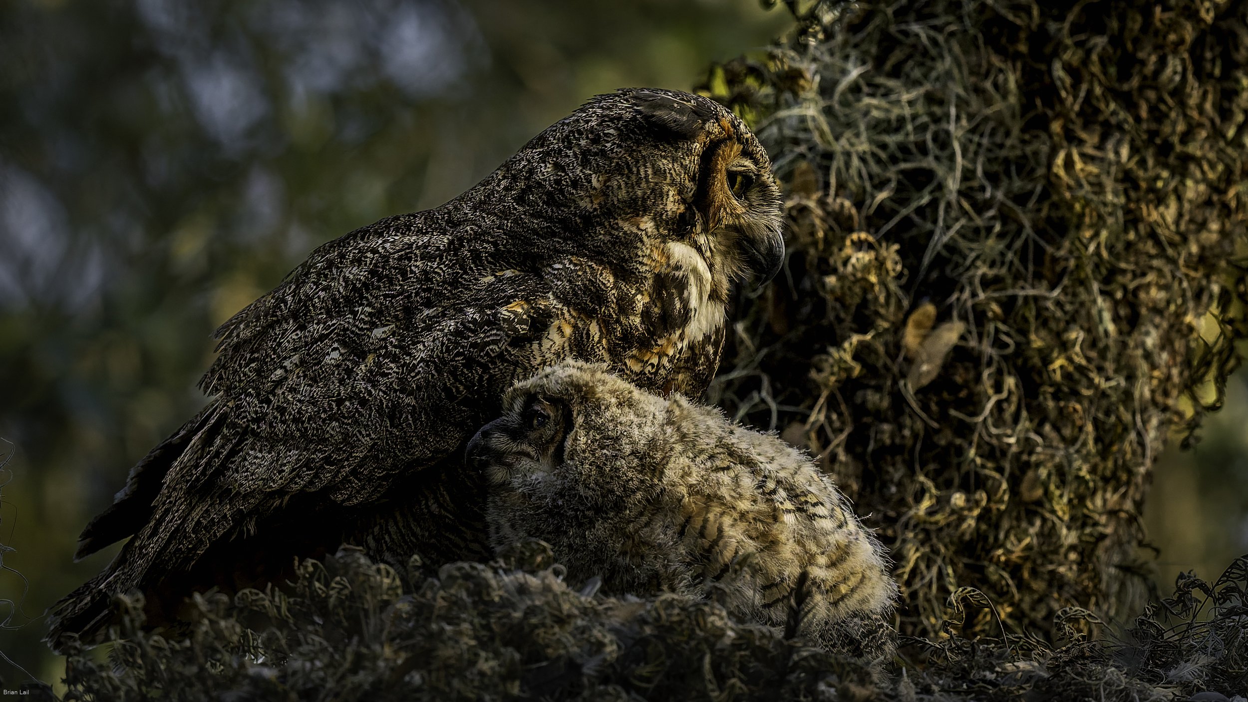 260221_untitled_1080-DxO_DeepPRIME 3.jpg