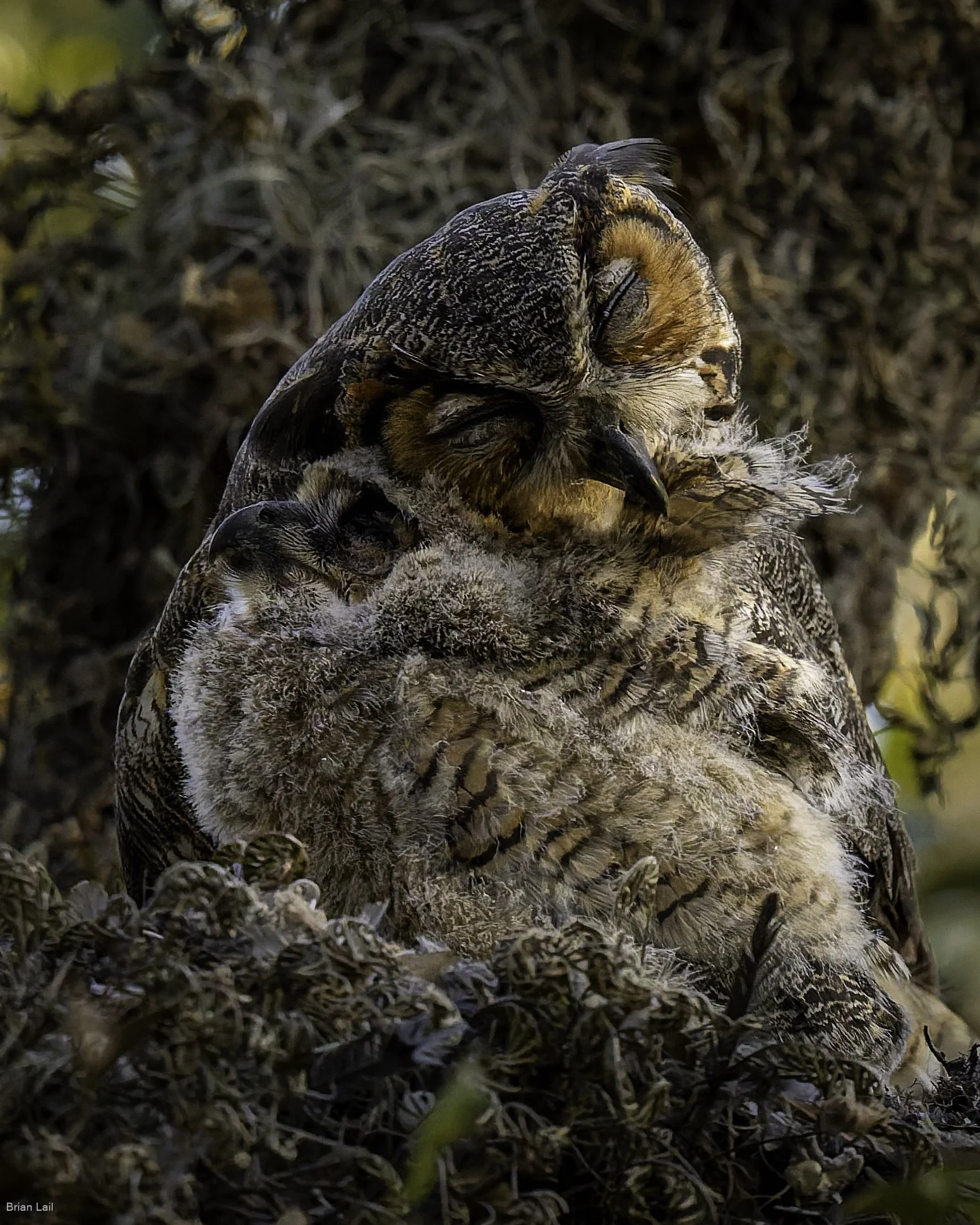 260221_untitled_1010-DxO_DeepPRIME 3.jpg