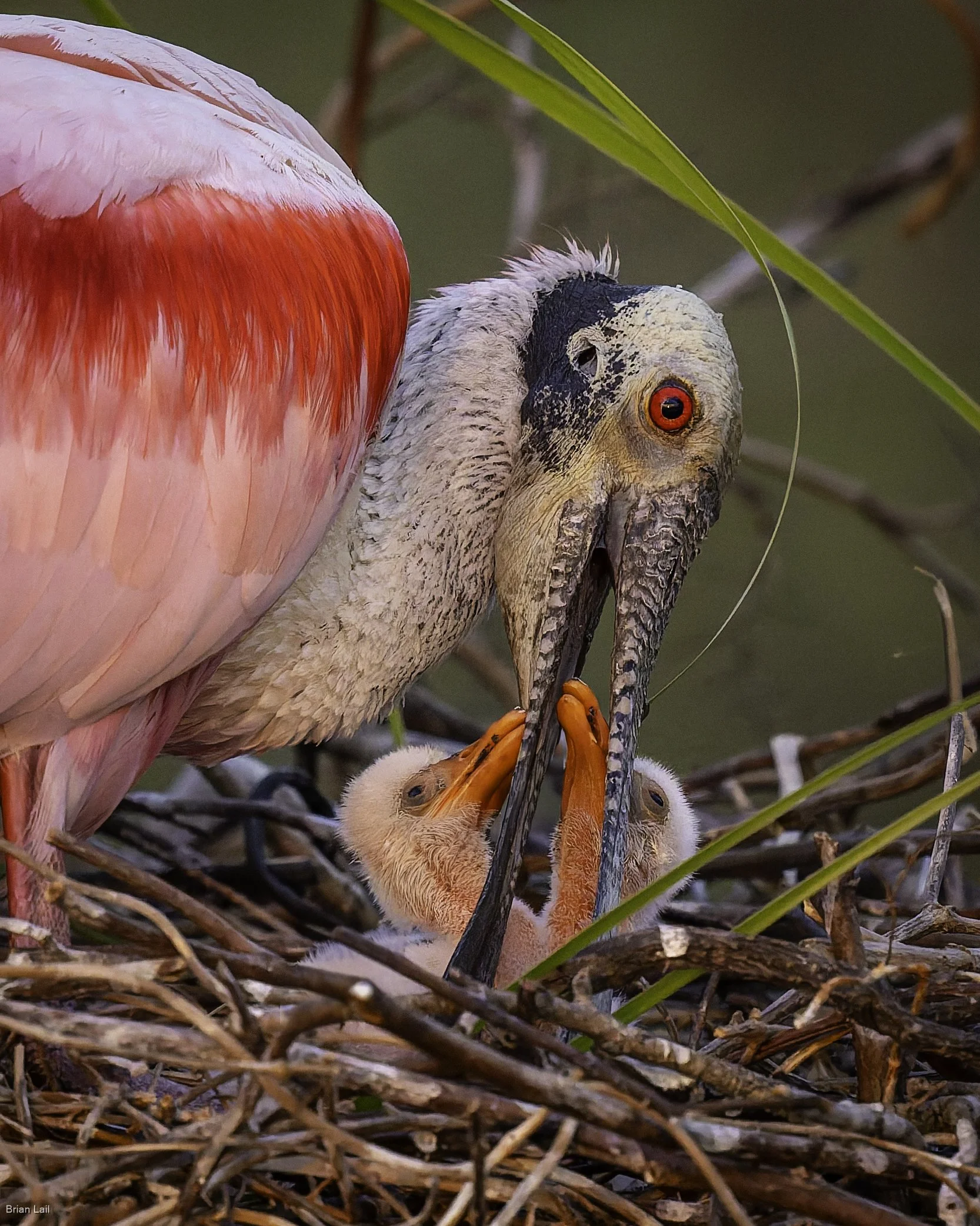 260220_untitled_1562-DxO_DeepPRIME 3.jpg