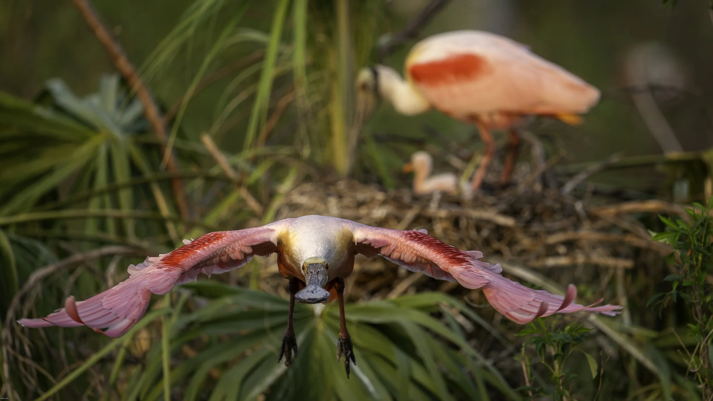 260221_untitled_1116-DxO_DeepPRIME 3.jpg