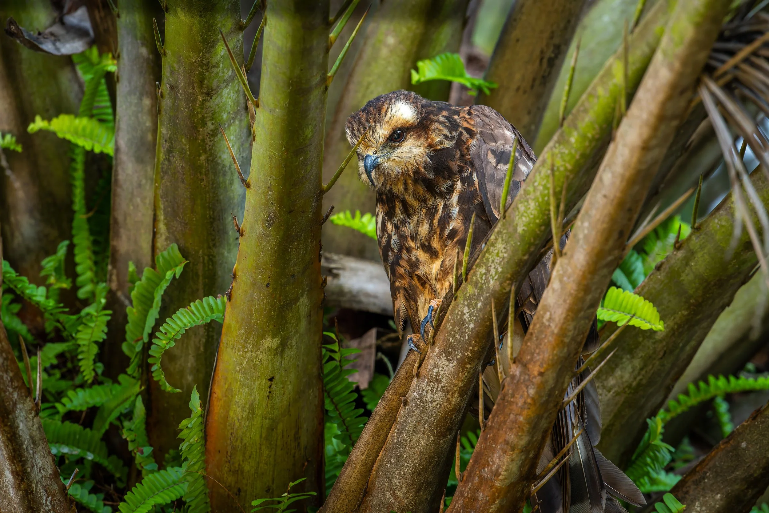 20260115-260115_untitled_010 sqsp.jpg