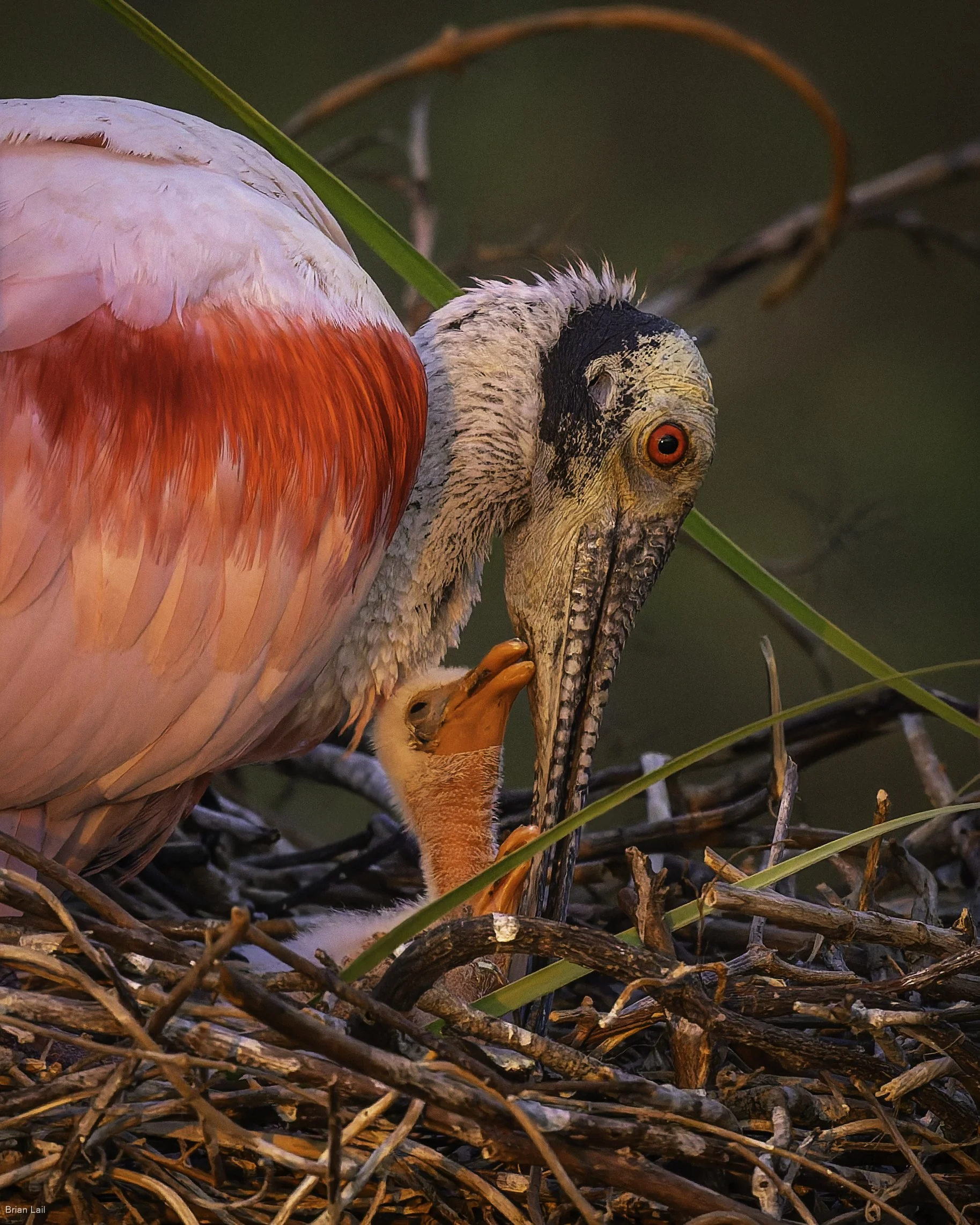 260220_untitled_1385-DxO_DeepPRIME 3.jpg