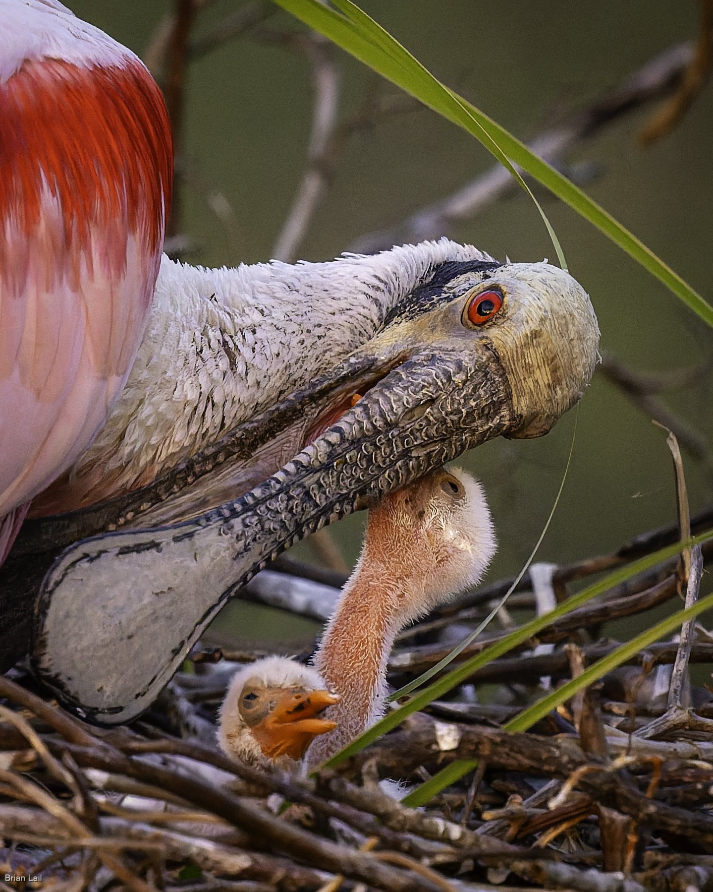 260220_untitled_1663-DxO_DeepPRIME 3.jpg