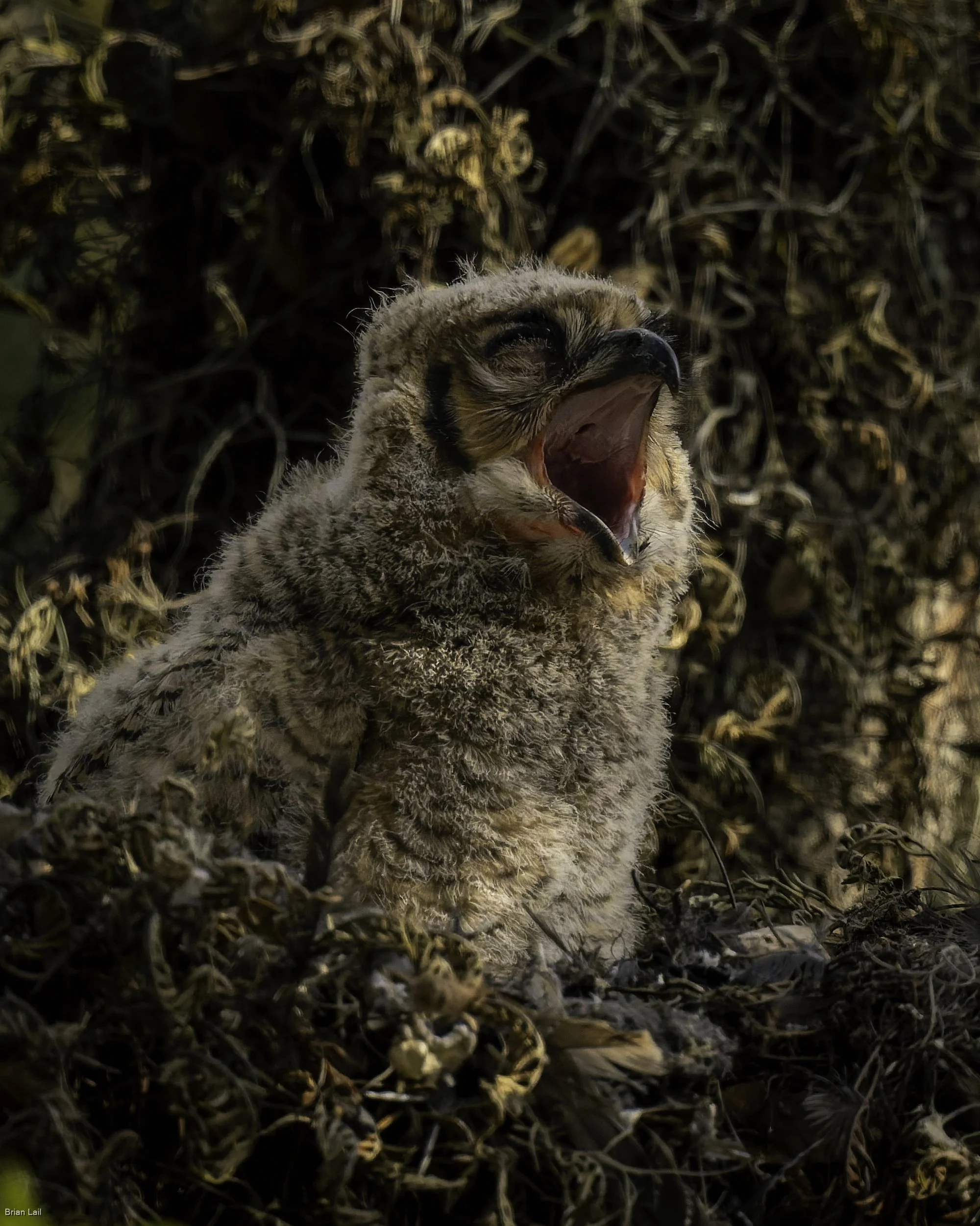 260221_untitled_1155-DxO_DeepPRIME 3.jpg