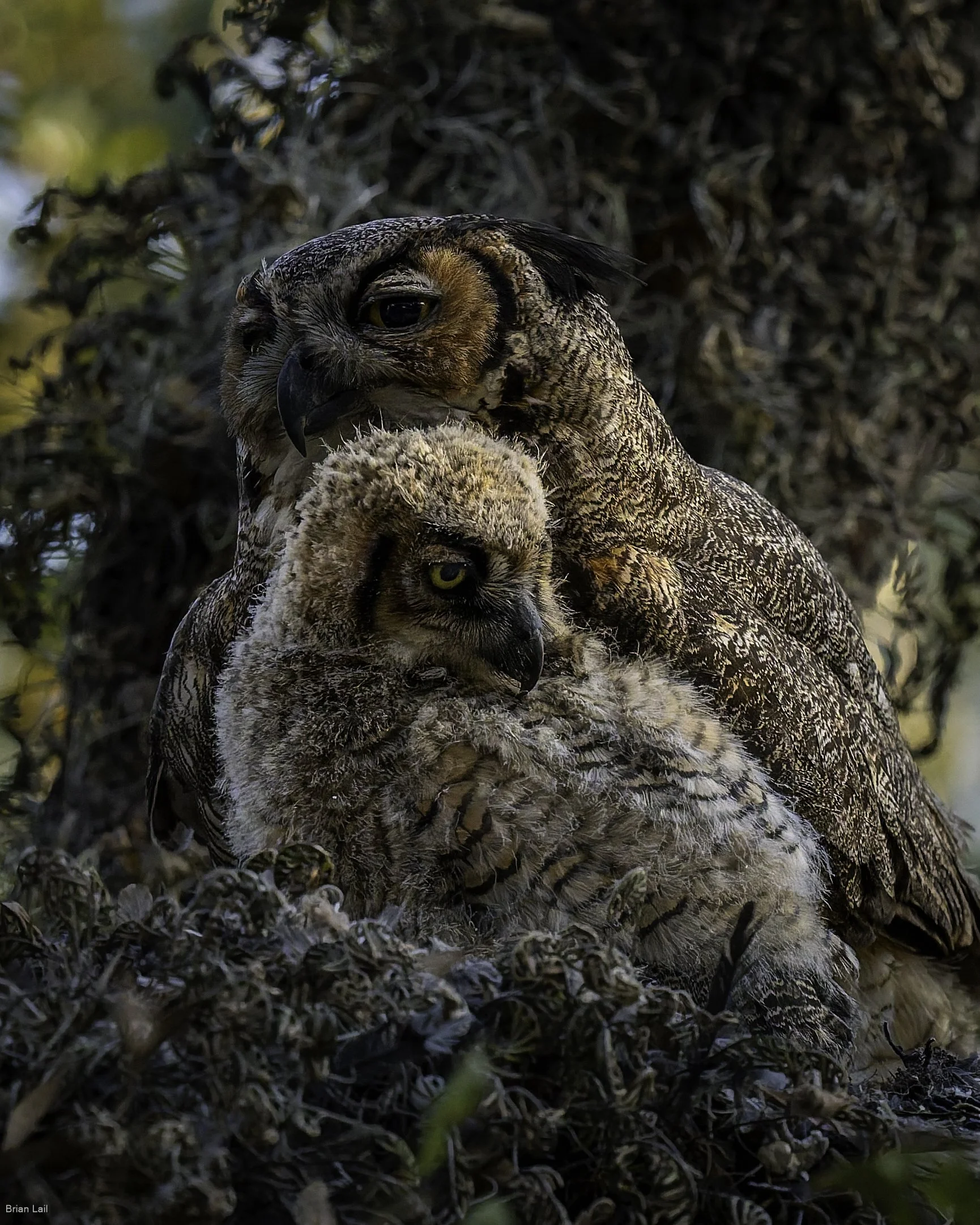 260221_untitled_1030-DxO_DeepPRIME 3.jpg