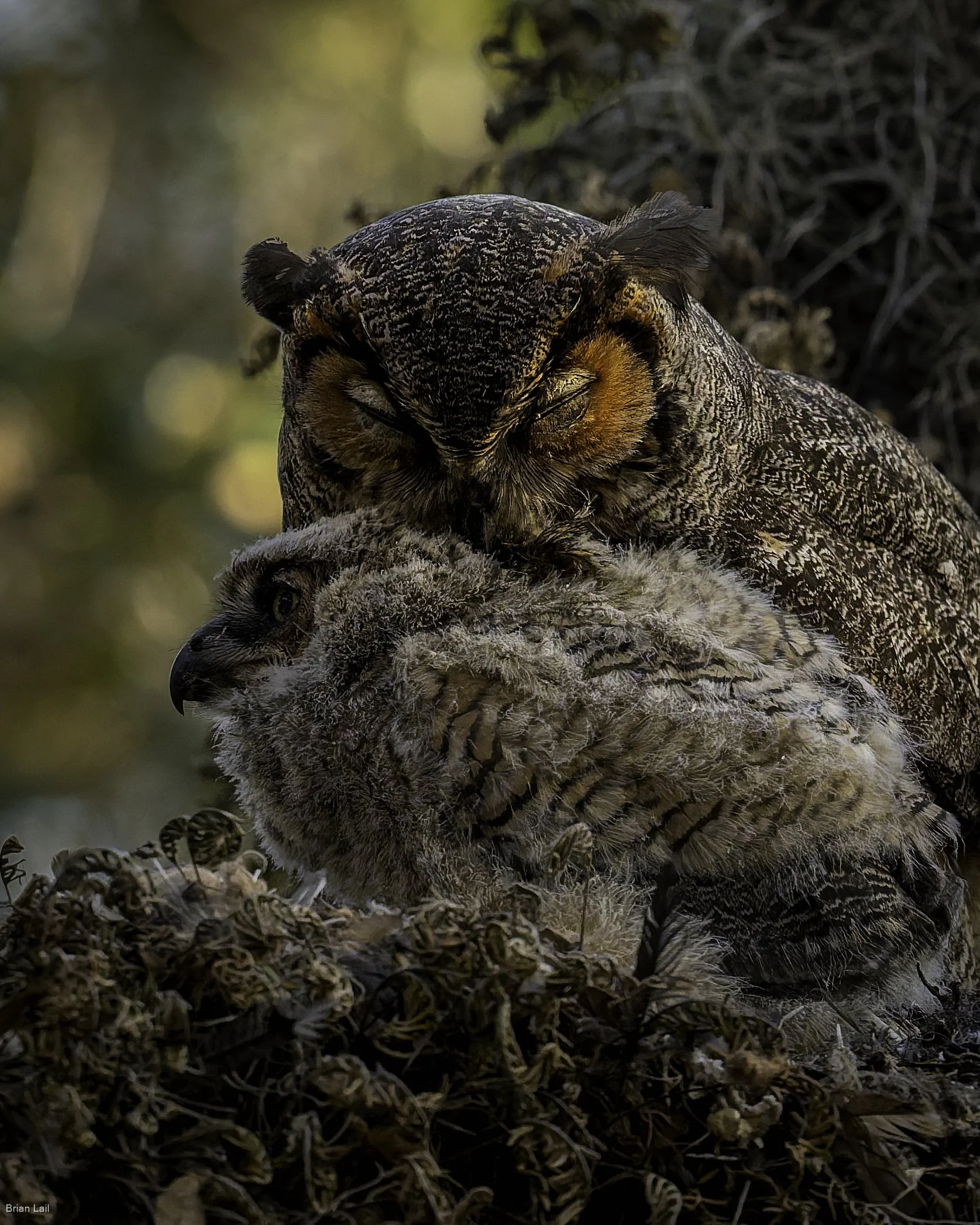 260221_untitled_849-DxO_DeepPRIME 3.jpg