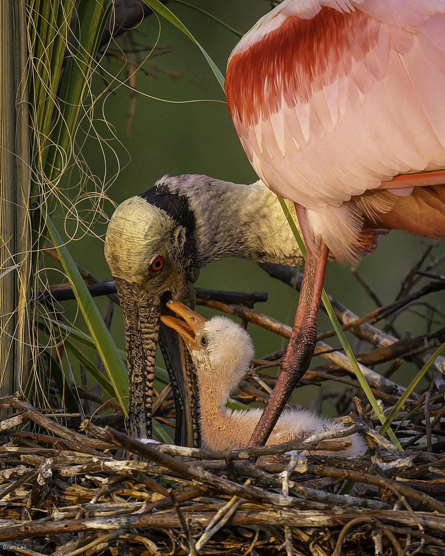 260221_untitled_1462-DxO_DeepPRIME 3.jpg