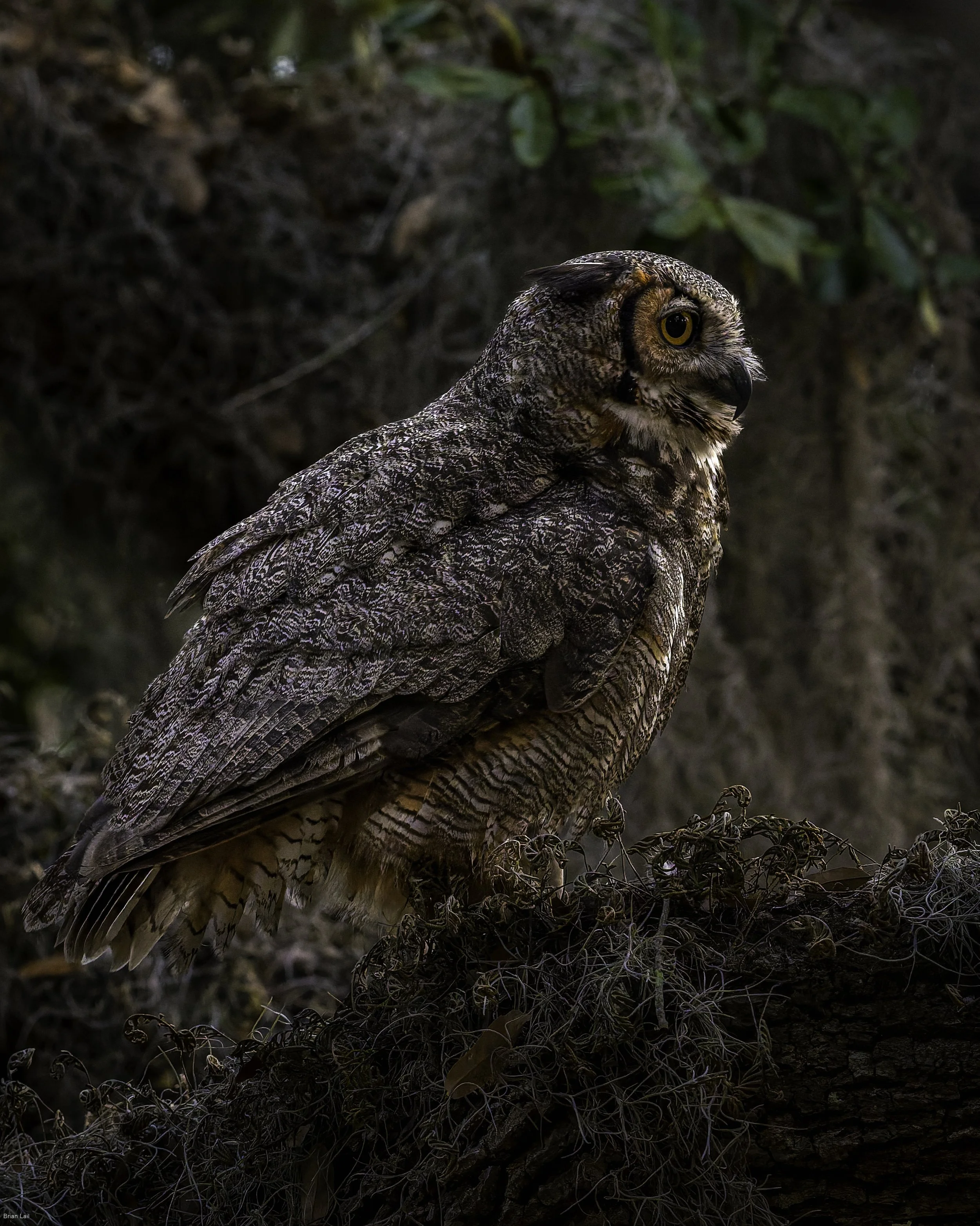 260221_untitled_184-DxO_DeepPRIME 3.jpg