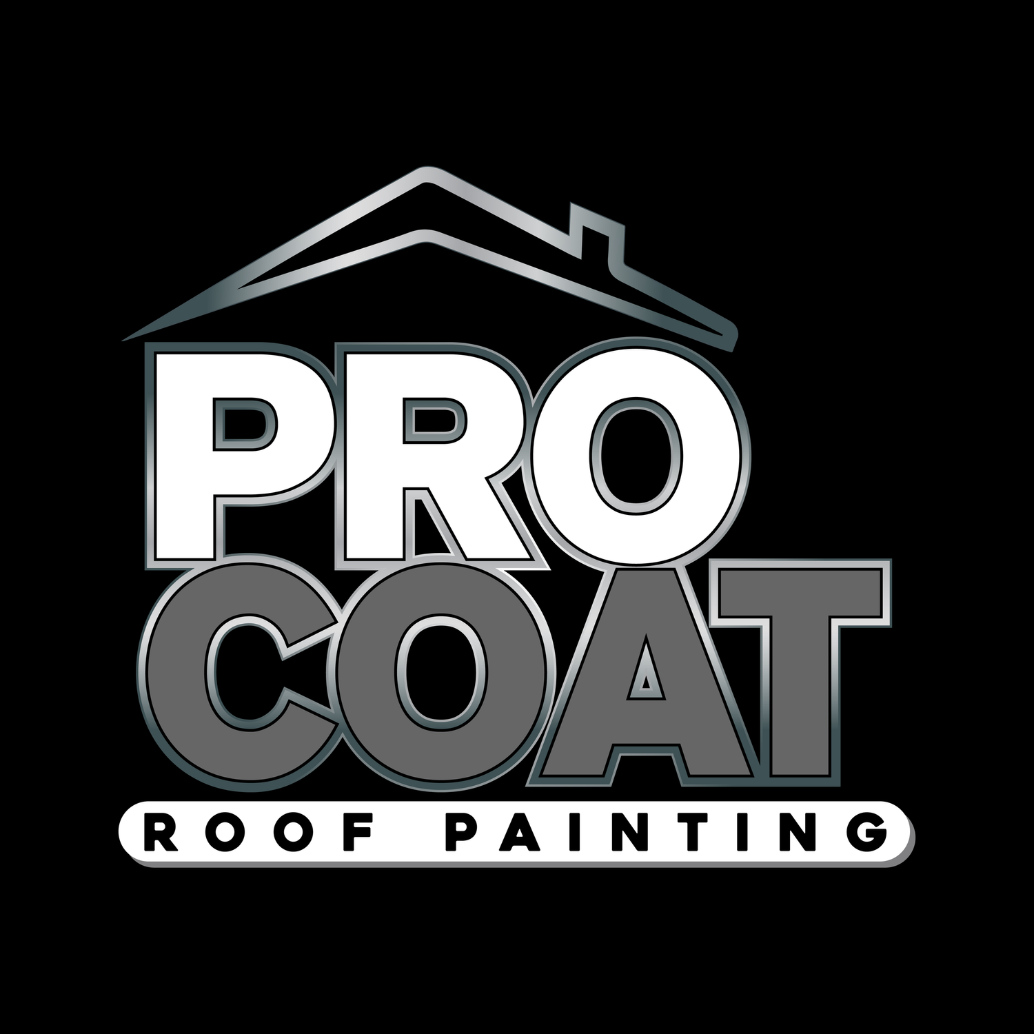 PRO COAT ROOF PAINTING