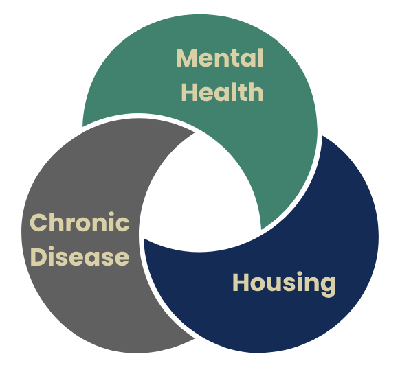 Chronic Disease Action Team