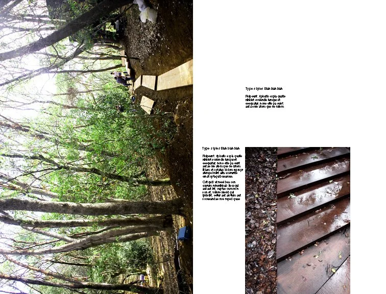 TERREMOTO_5.25x8_PREVIEW_2_Page_09.jpg