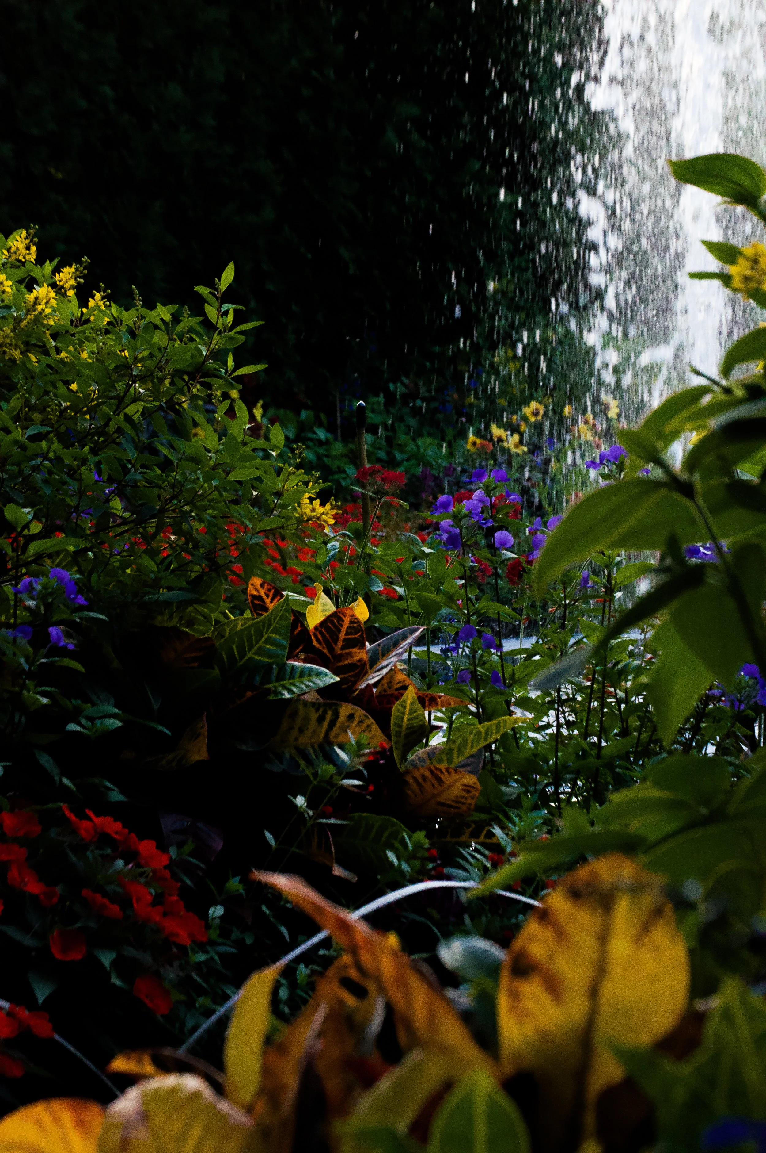 longgardens-05.jpg