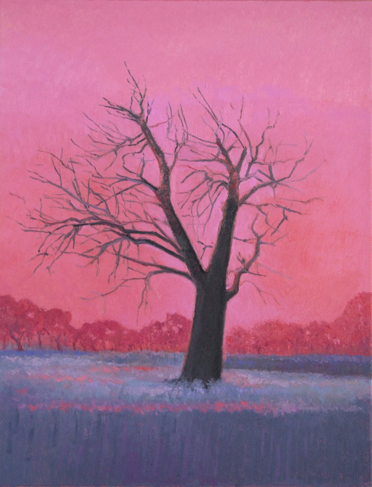 Almond Tree, oil on canvas, 26" x 20" 