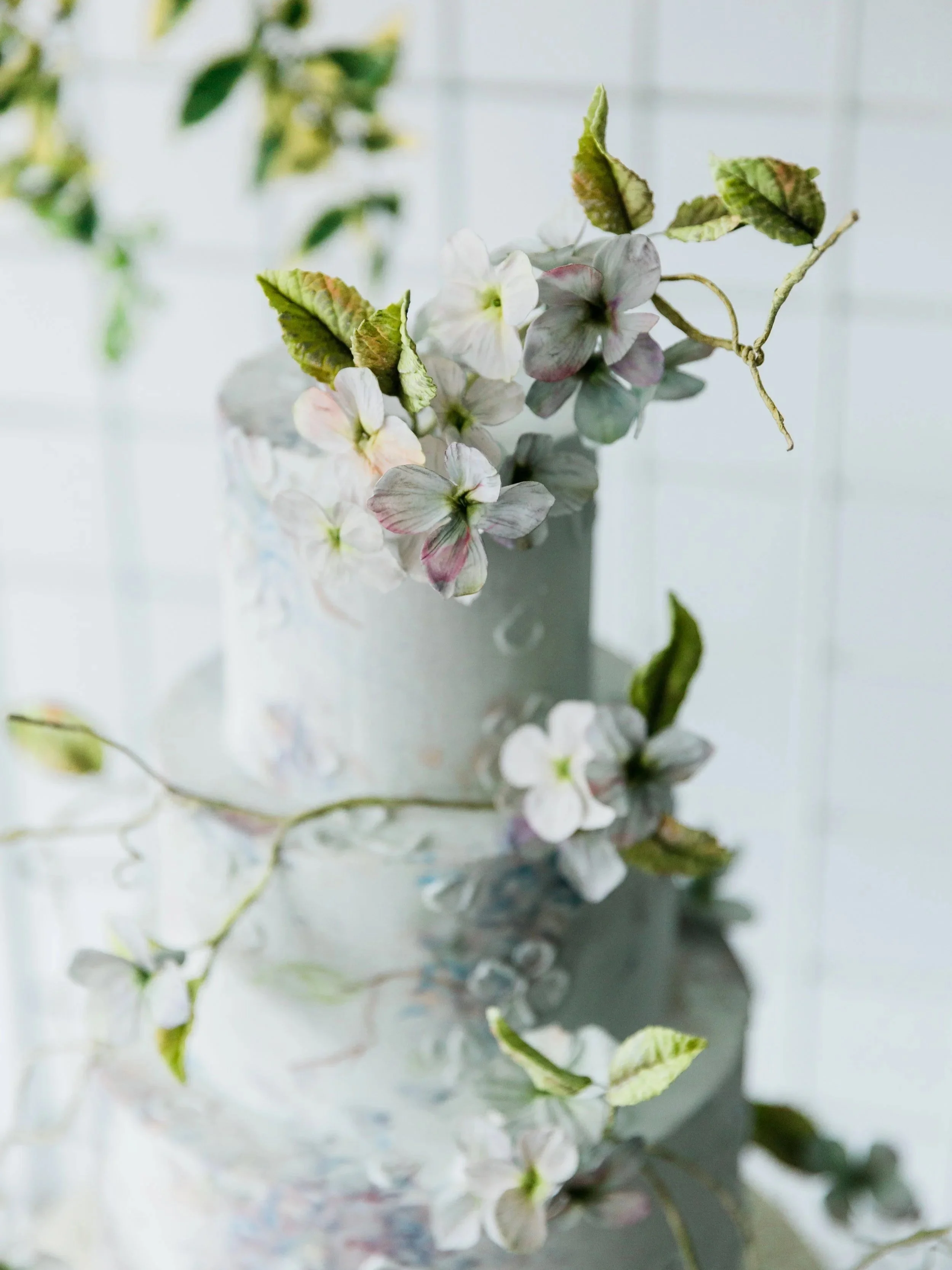Hydrangea and Foliage