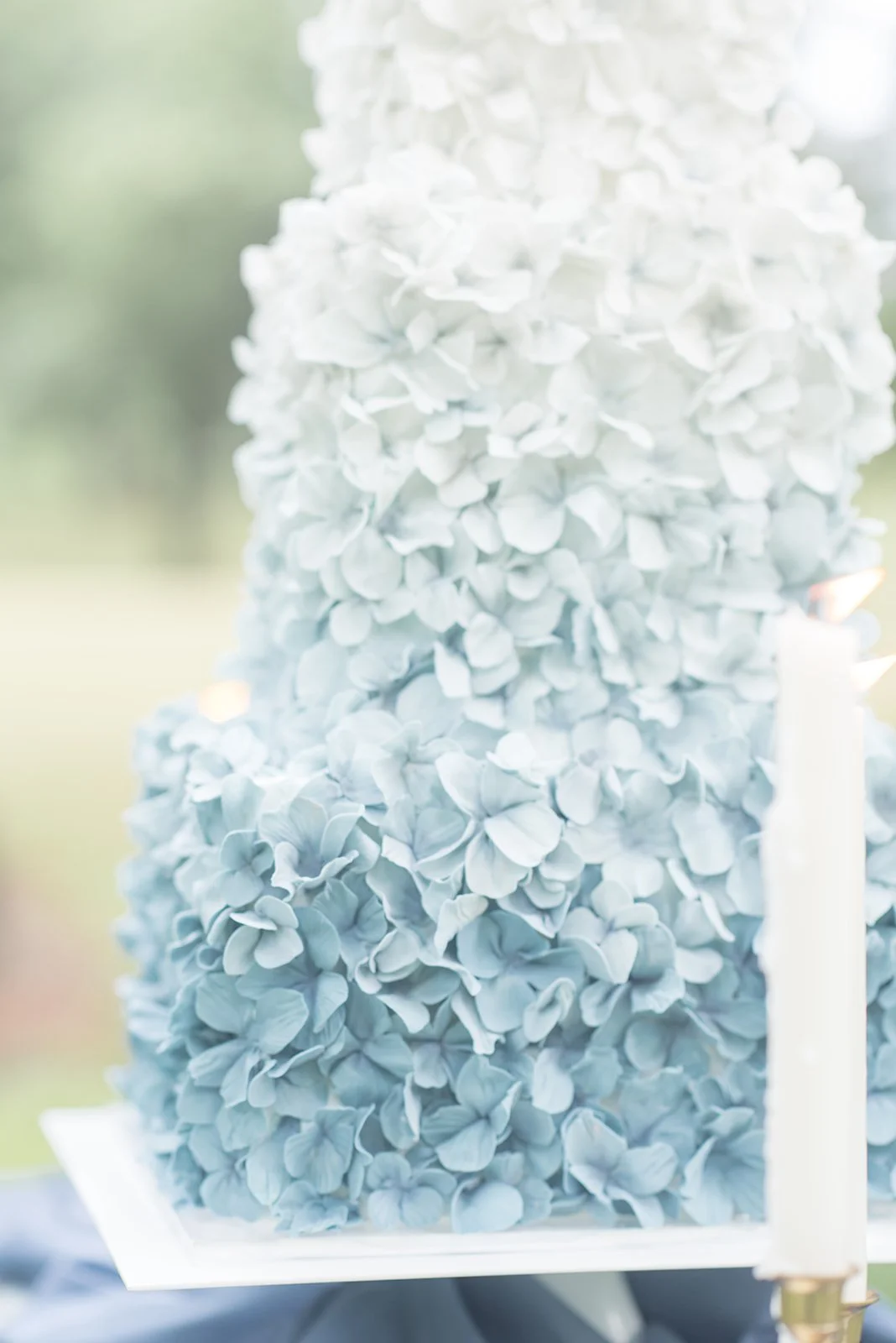 Alex Robba Cake