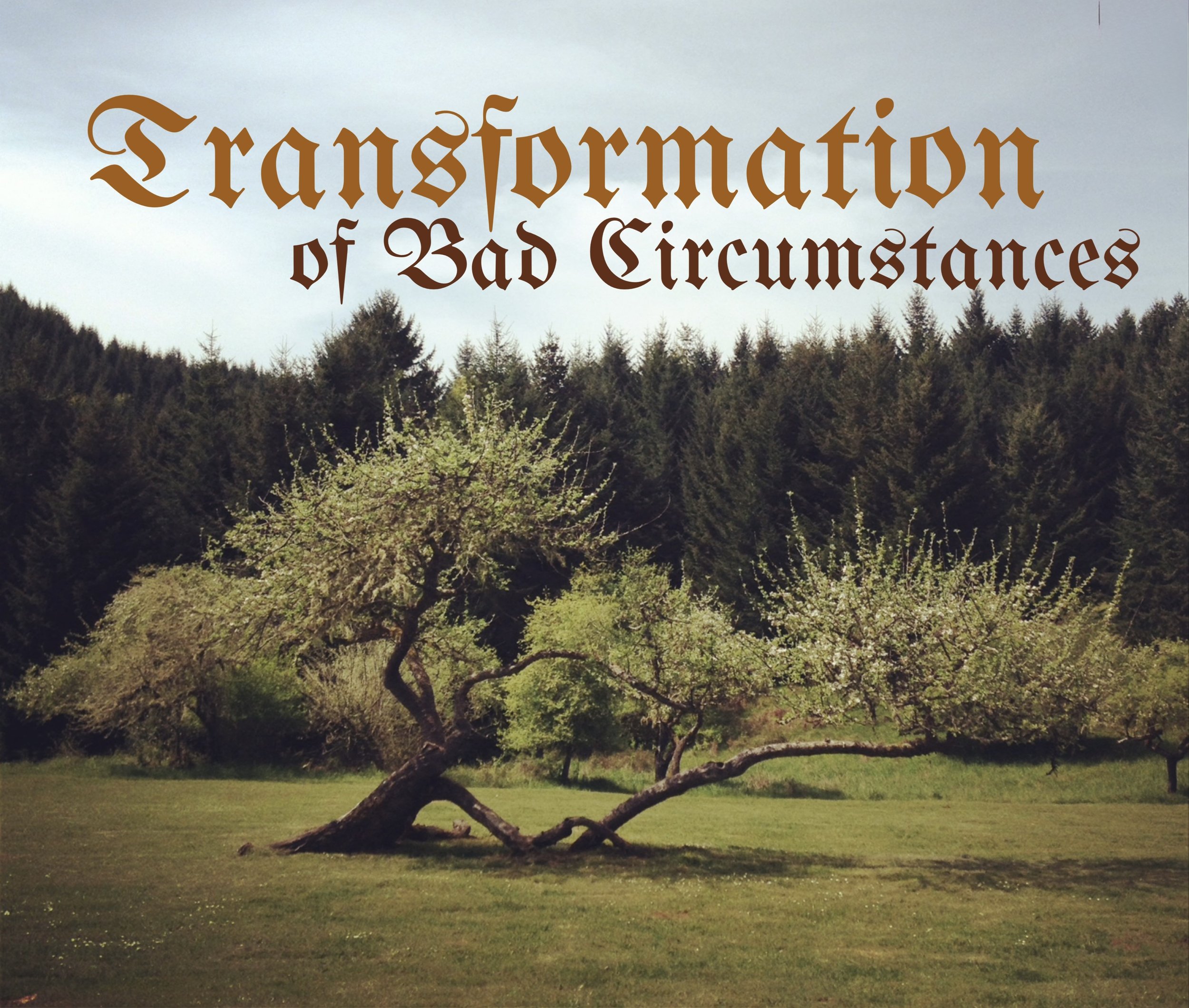 Transformation of Bad Circumstances