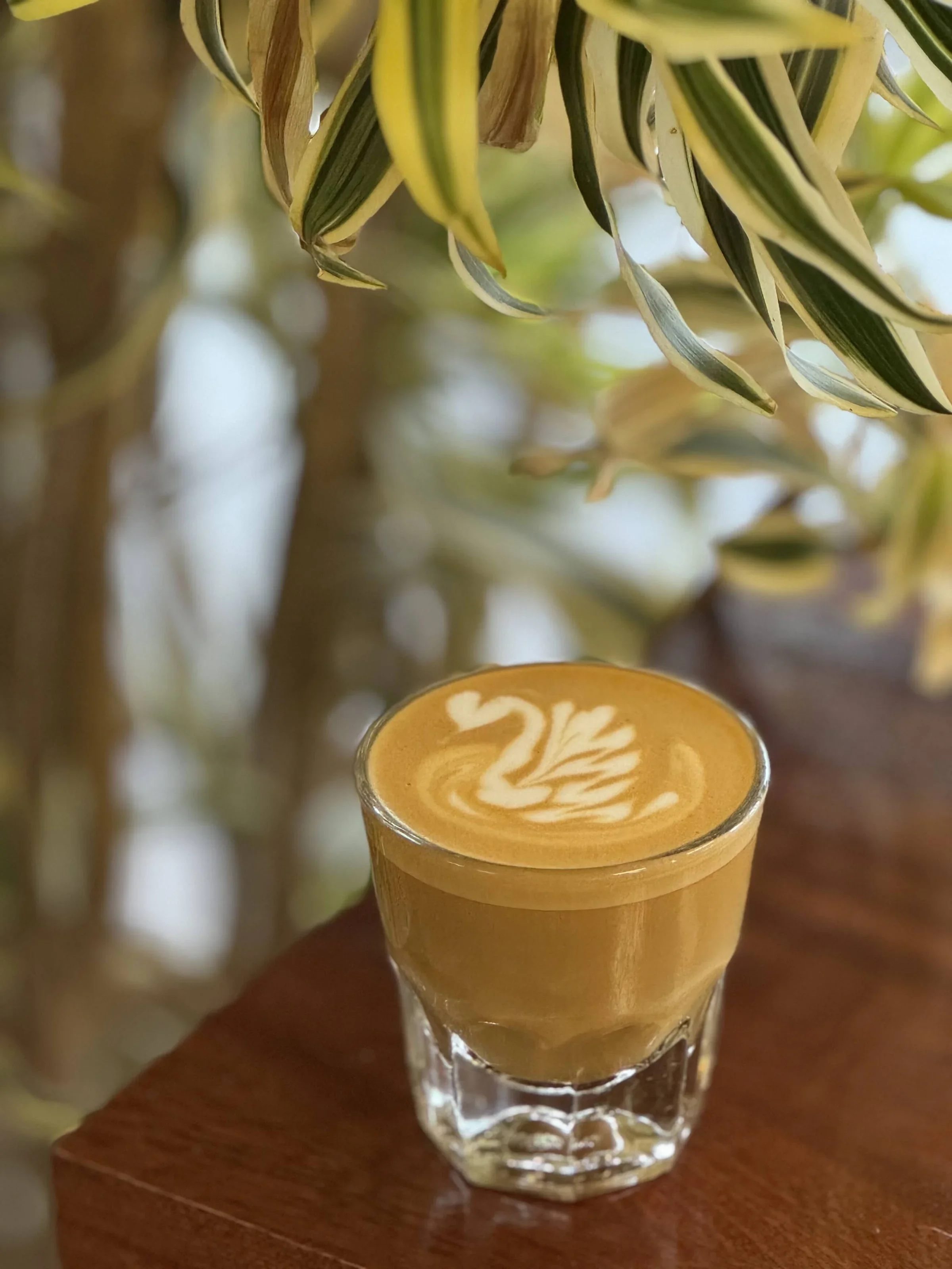 Coffee and Connection at the Beard and Braid